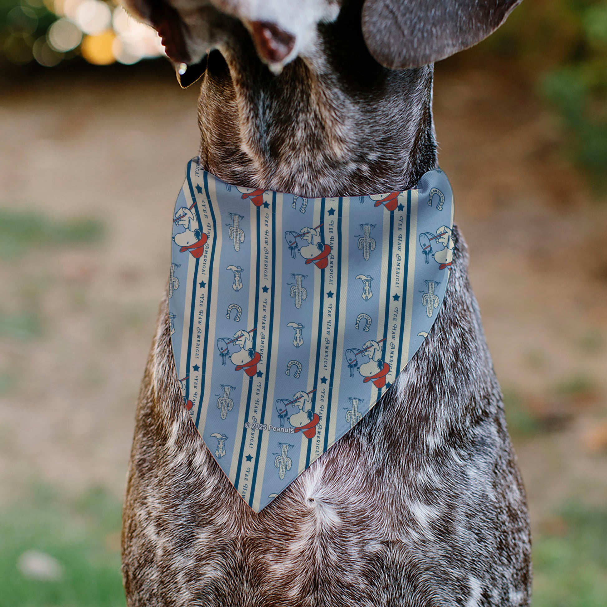 Pet Bandana - Peanuts Snoopy YEE HAW AMERICA Pose and Icons Ivory/Blues/Red Pet Bandanas Peanuts