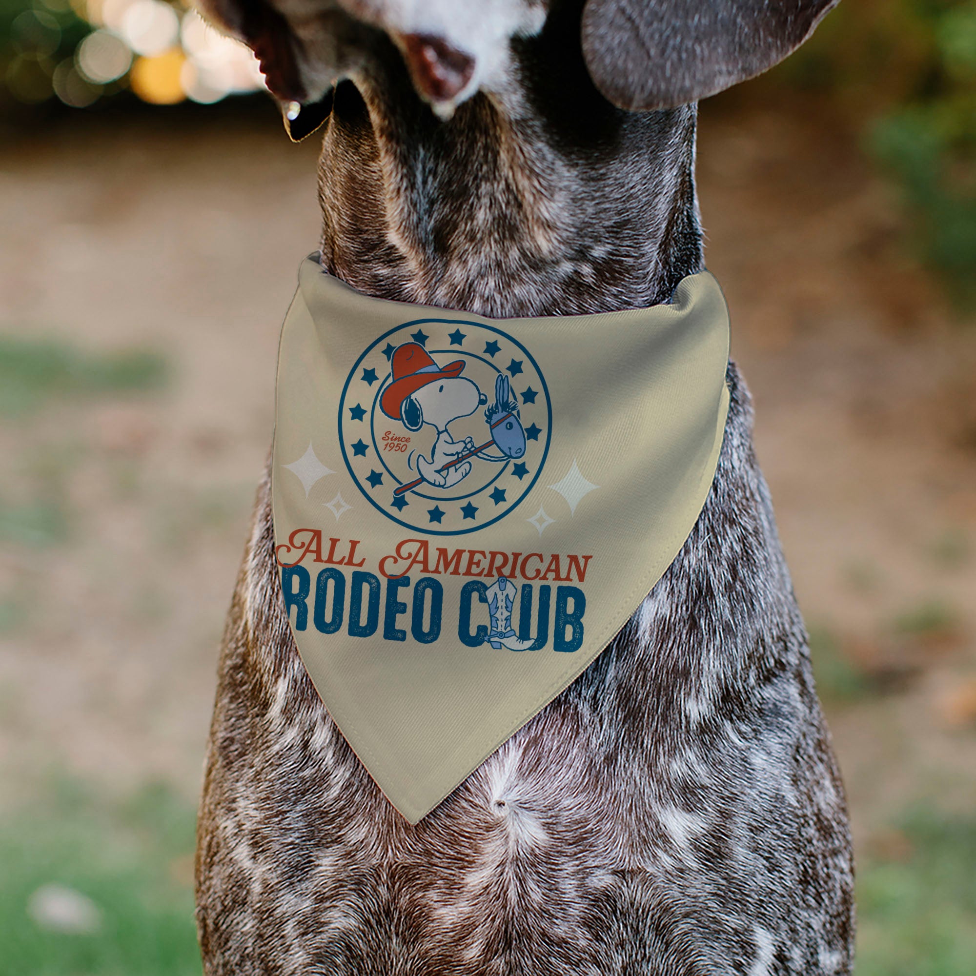 Pet Bandana - Peanuts Snoopy ALL AMERICAN RODEO CLUB Pose Beige/Red/Blues Pet Bandanas Peanuts