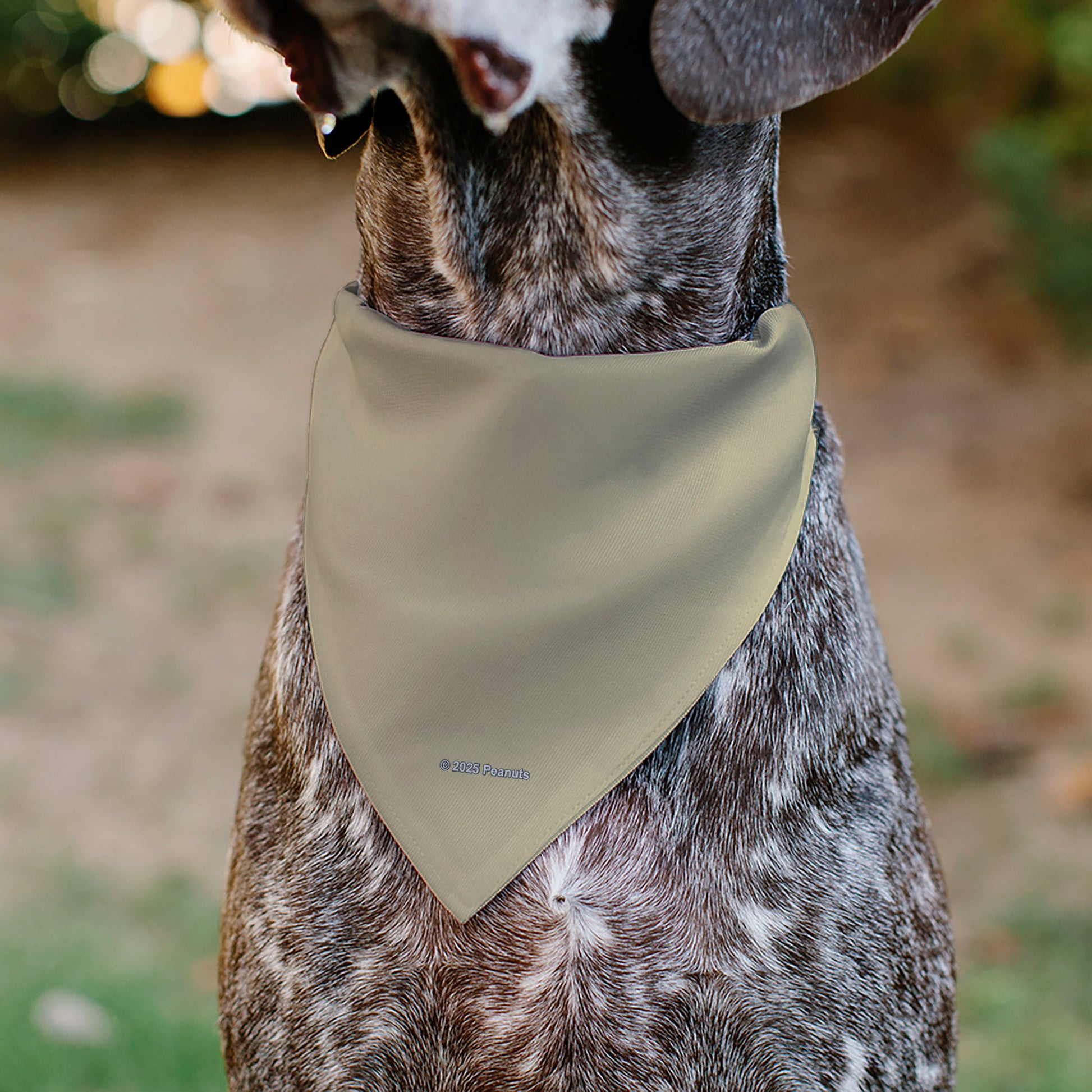 Pet Bandana - Peanuts Snoopy ALL AMERICAN RODEO CLUB Pose Beige/Red/Blues Pet Bandanas Peanuts