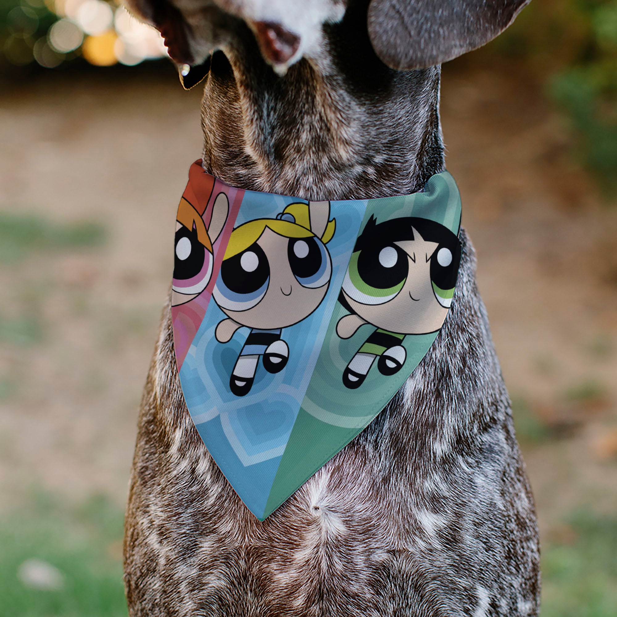 Pet Bandana - The Powerpuff Girls Flight Pose Pinks/Blues/Greens Pet Bandanas Powerpuff Girls