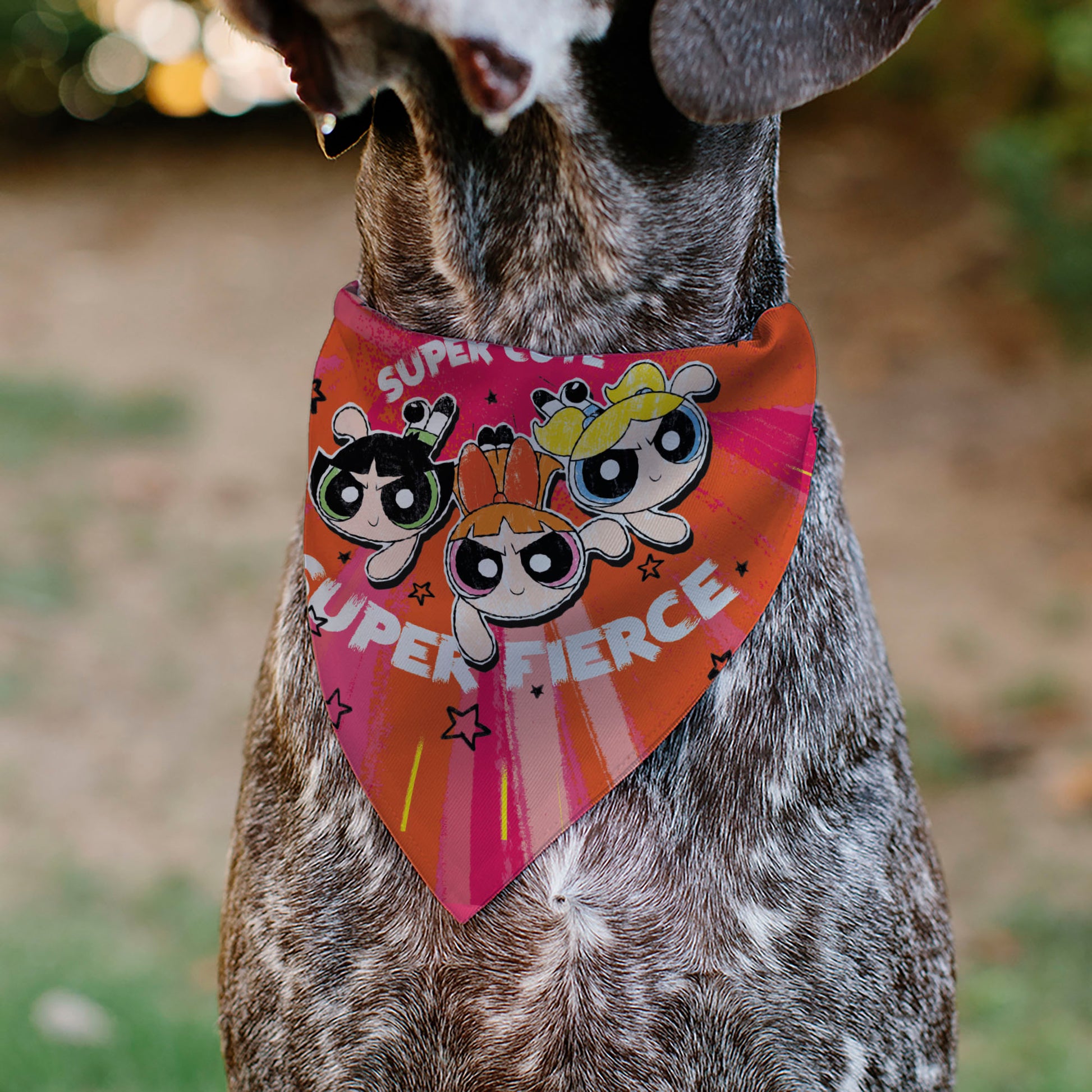 Pet Bandana - Powerpuff Girls SUPER CUTE SUPER FIERCE Group Pose Pinks Pet Bandanas Powerpuff Girls