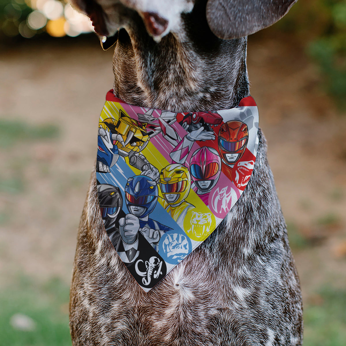 Pet Bandana - Power Rangers Pose and Zord Stripes Multi Color Pet Bandanas Power Rangers