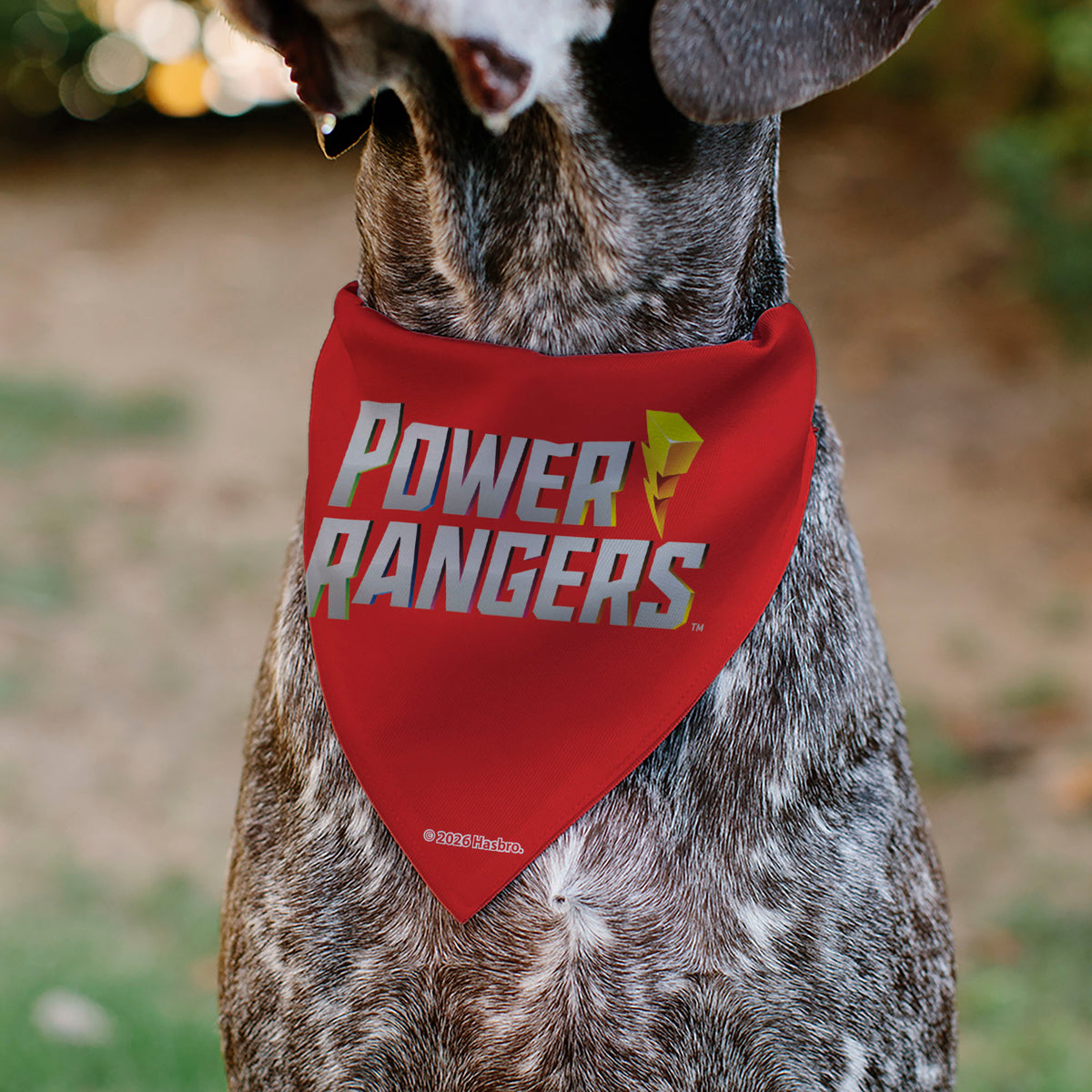 Pet Bandana - Power Rangers Pose and Zord Stripes Multi Color Pet Bandanas Power Rangers