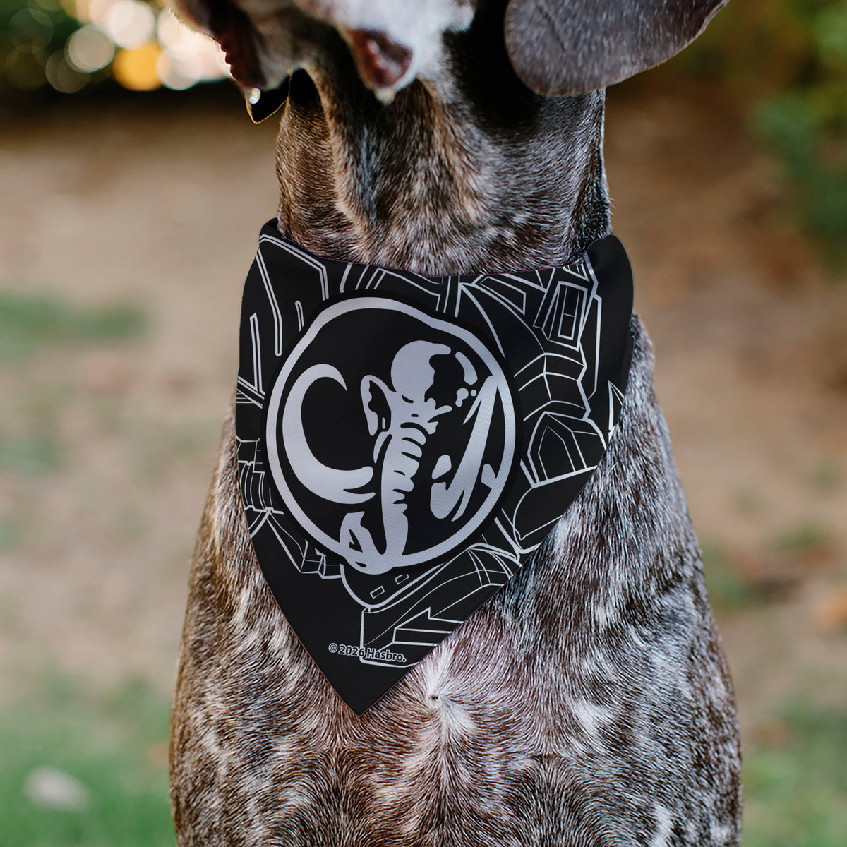 Pet Bandana - POWER RANGERS Black Mastodon Coin Icon and Zord Black/White Pet Bandanas Power Rangers