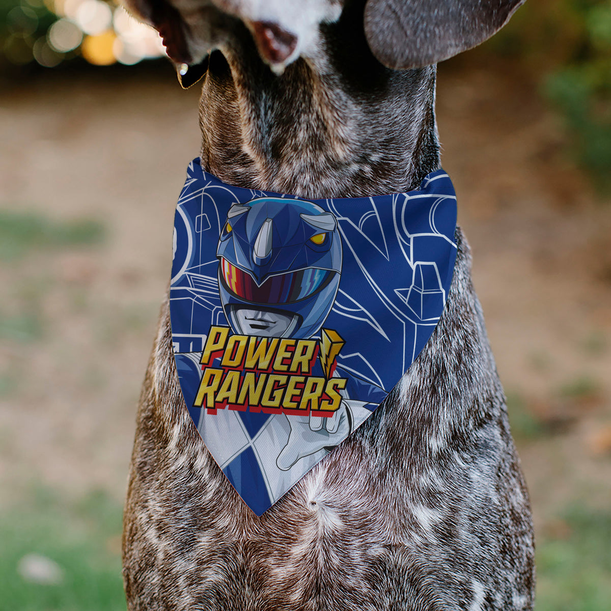 Pet Bandana - POWER RANGERS Blue Ranger Triceratops Coin Icon and Zord Blue/White Pet Bandanas Power Rangers