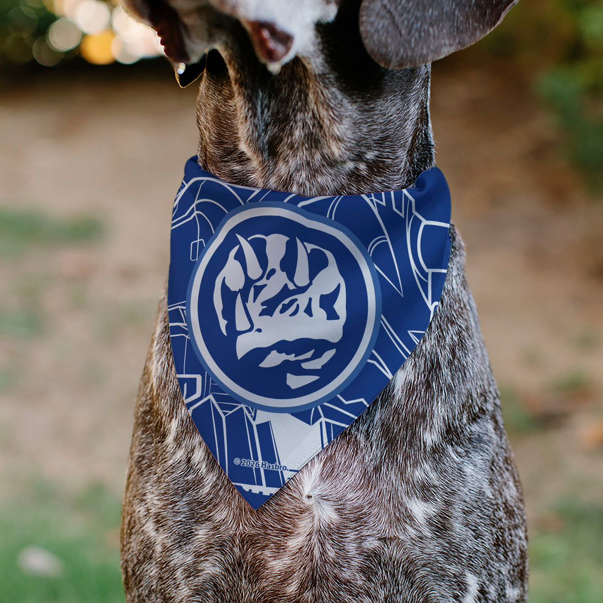 Pet Bandana - POWER RANGERS Blue Ranger Triceratops Coin Icon and Zord Blue/White Pet Bandanas Power Rangers