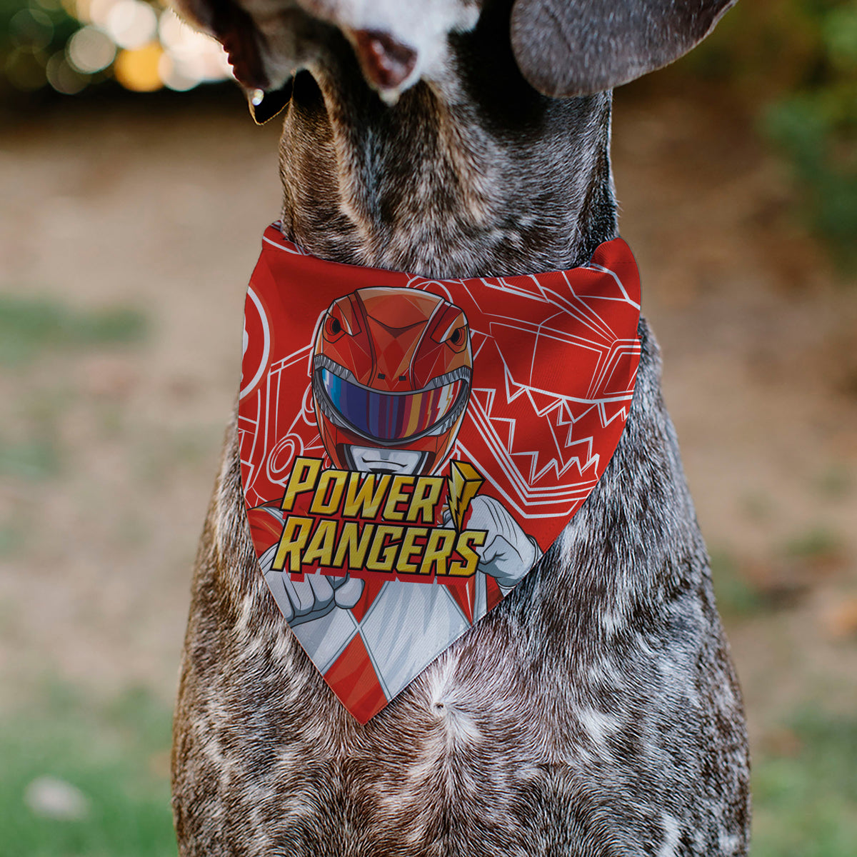 Pet Bandana - POWER RANGERS Red Ranger Tyrannosaurus Rex Coin Icon and Zord Red/White Pet Bandanas Power Rangers