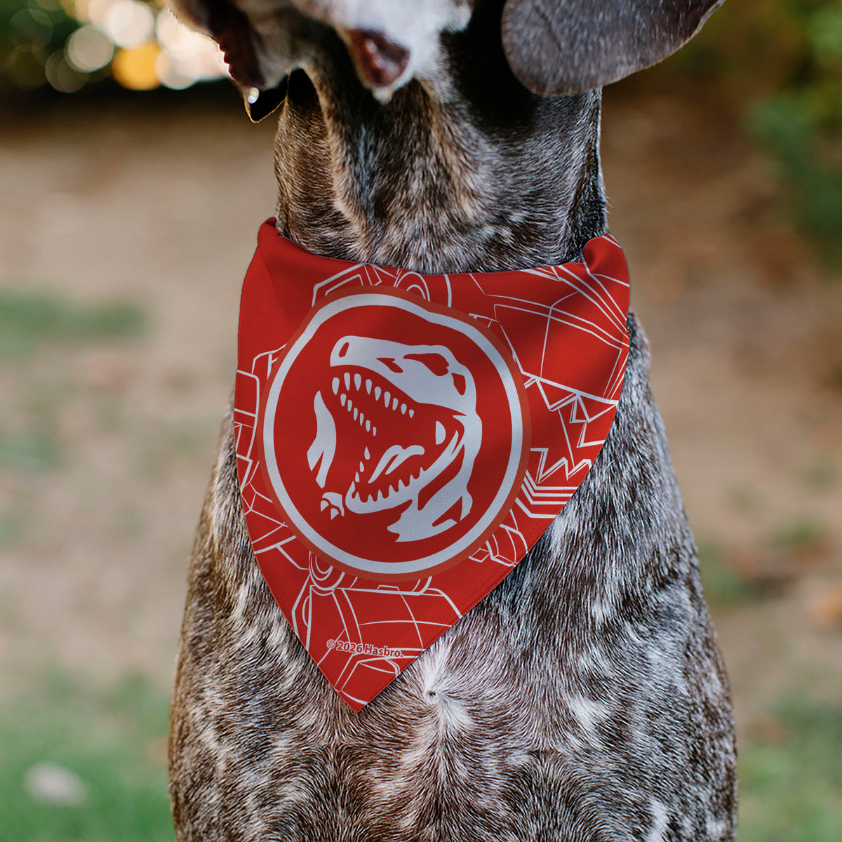 Pet Bandana - POWER RANGERS Red Ranger Tyrannosaurus Rex Coin Icon and Zord Red/White Pet Bandanas Power Rangers
