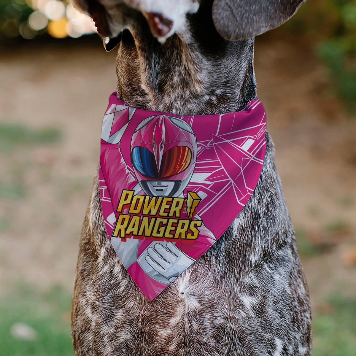 Pet Bandana - POWER RANGERS Pink Ranger Pterodactyl Coin Icon and Zord Pink/White Pet Bandanas Power Rangers