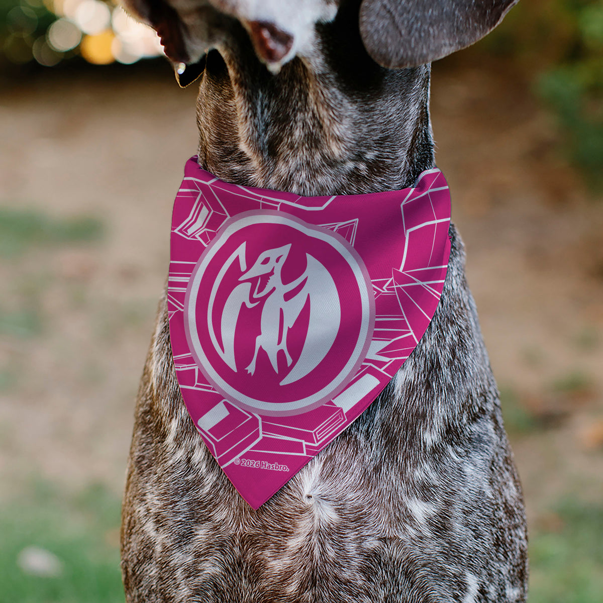 Pet Bandana - POWER RANGERS Pink Ranger Pterodactyl Coin Icon and Zord Pink/White Pet Bandanas Power Rangers
