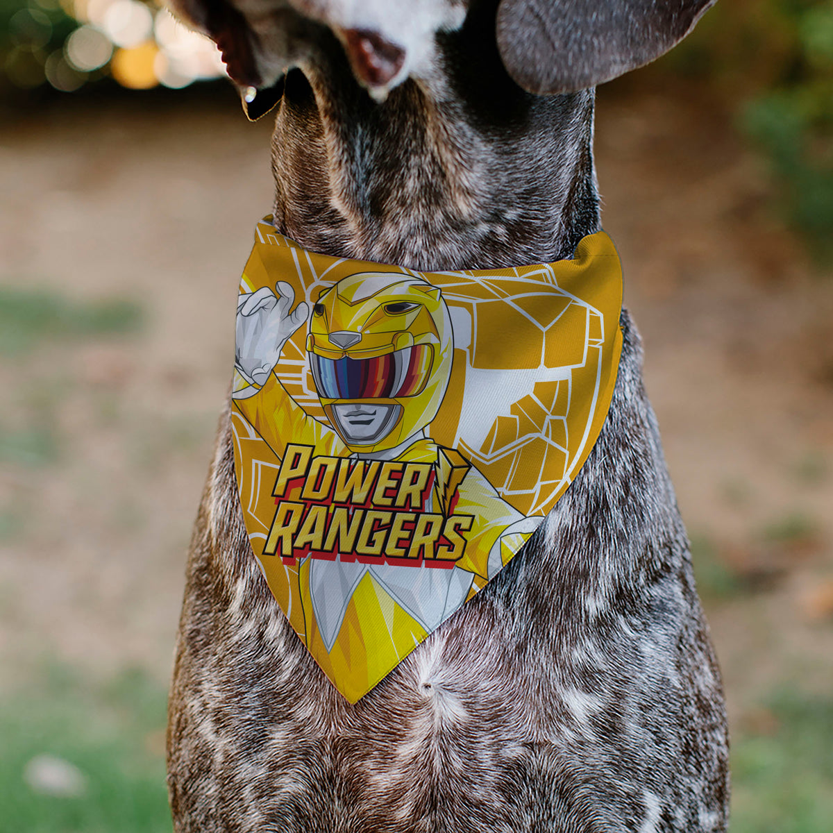 Pet Bandana - POWER RANGERS Yellow Ranger Sabertooth Tiger Coin Icon and Zord Yellow/White Pet Bandanas Power Rangers