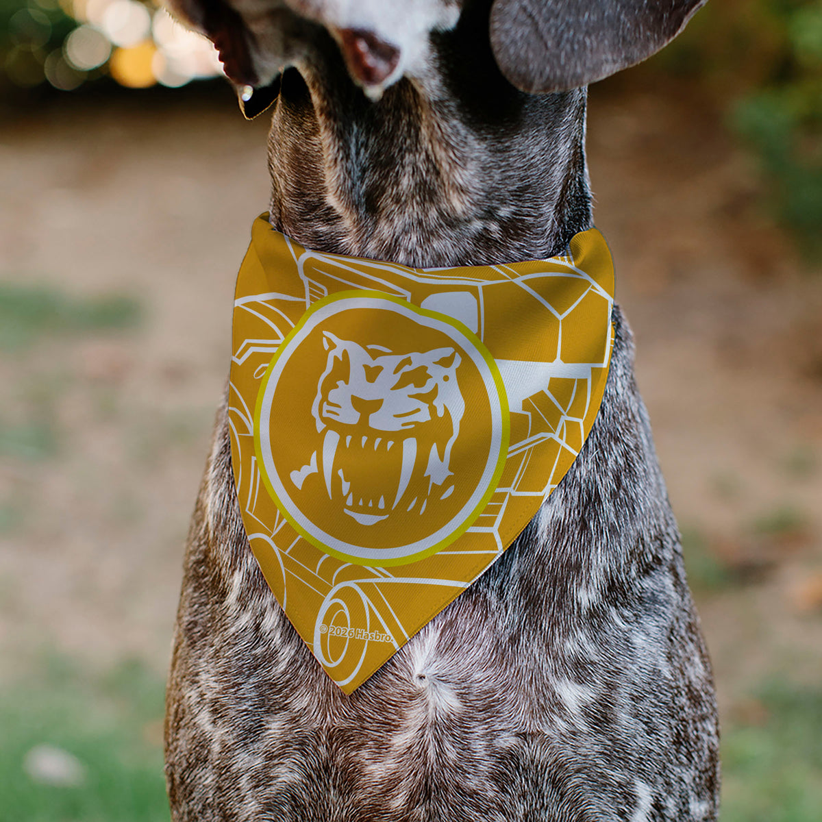 Pet Bandana - POWER RANGERS Yellow Ranger Sabertooth Tiger Coin Icon and Zord Yellow/White Pet Bandanas Power Rangers