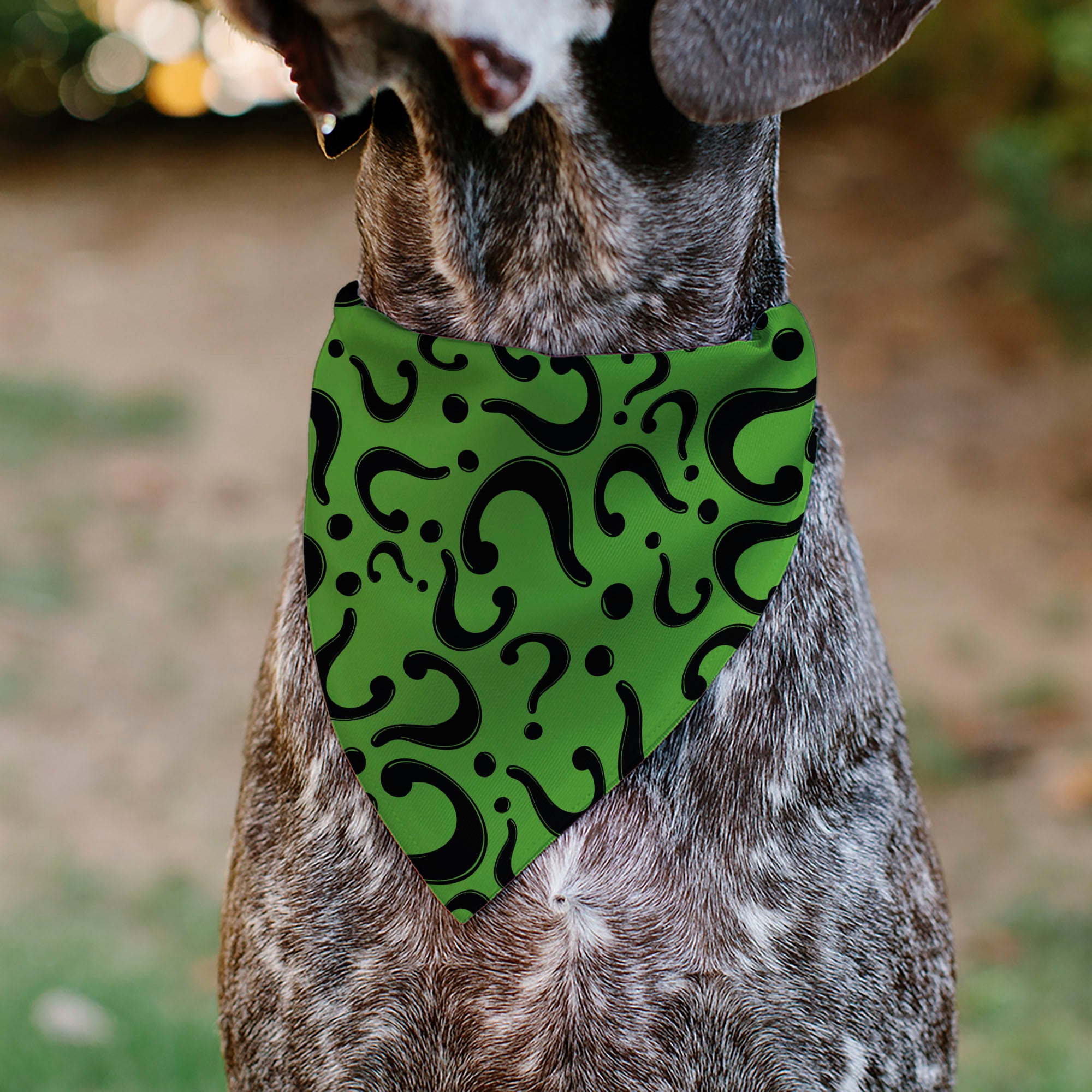 Pet Bandana - The Riddler Question Mark Logo Scattered Green/Black Pet Bandanas DC Comics