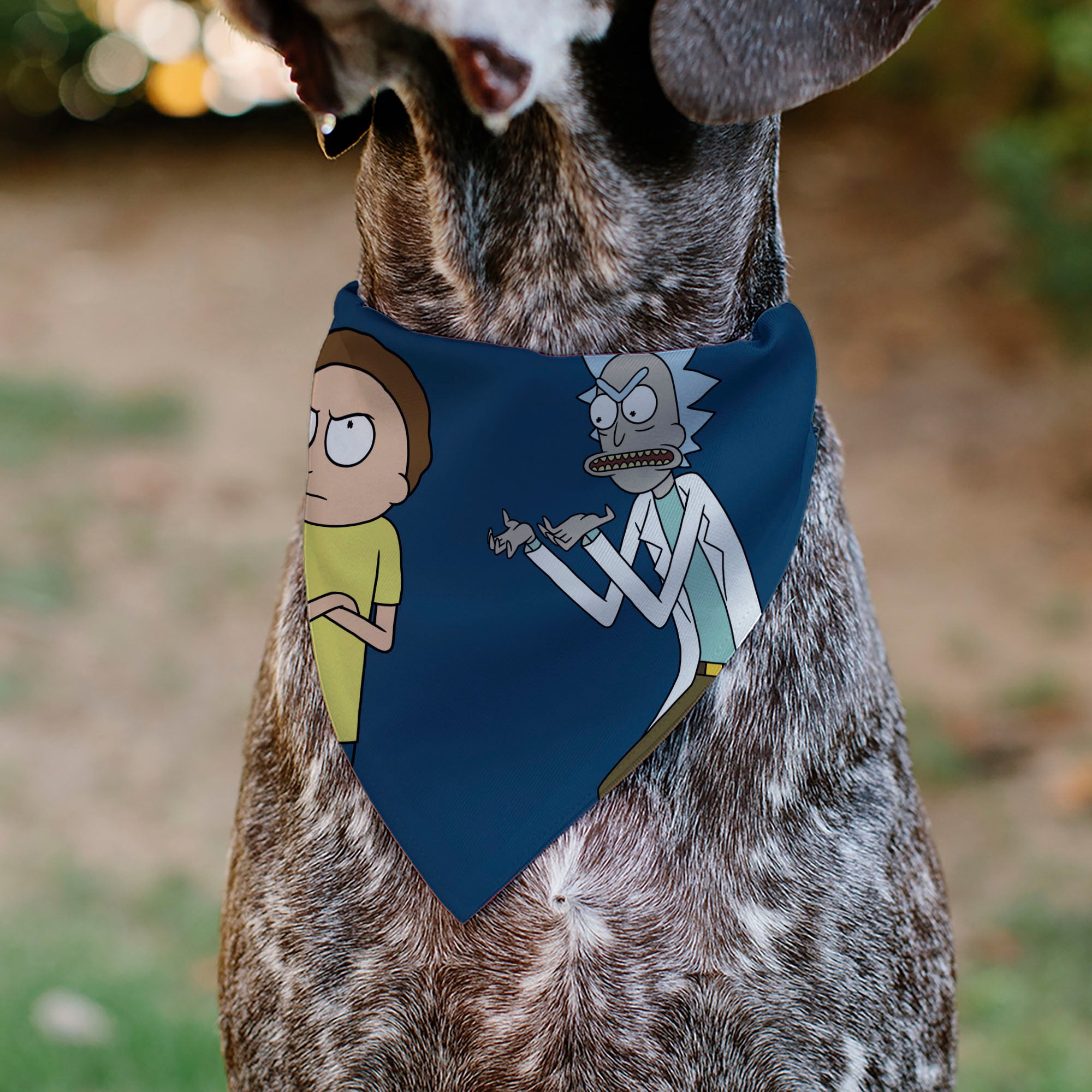 Pet Bandana - Rick and Morty Arms Crossed Pose Blue Pet Bandanas Rick and Morty