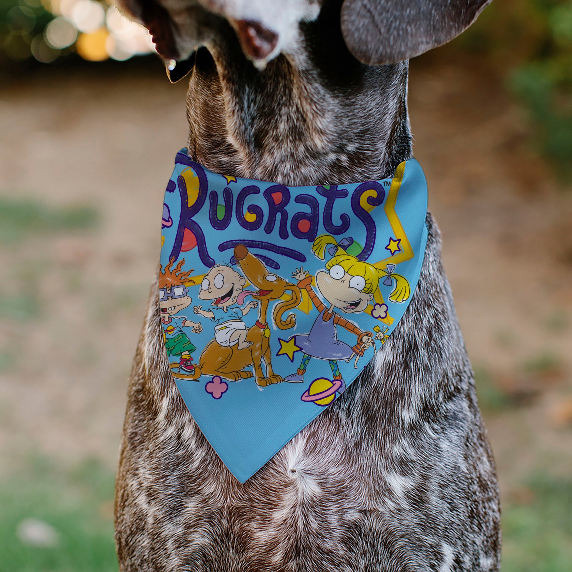Pet Bandana - RUGRATS Four Character Group Pose and Title Logo Light Blue Pet Bandanas Rugrats