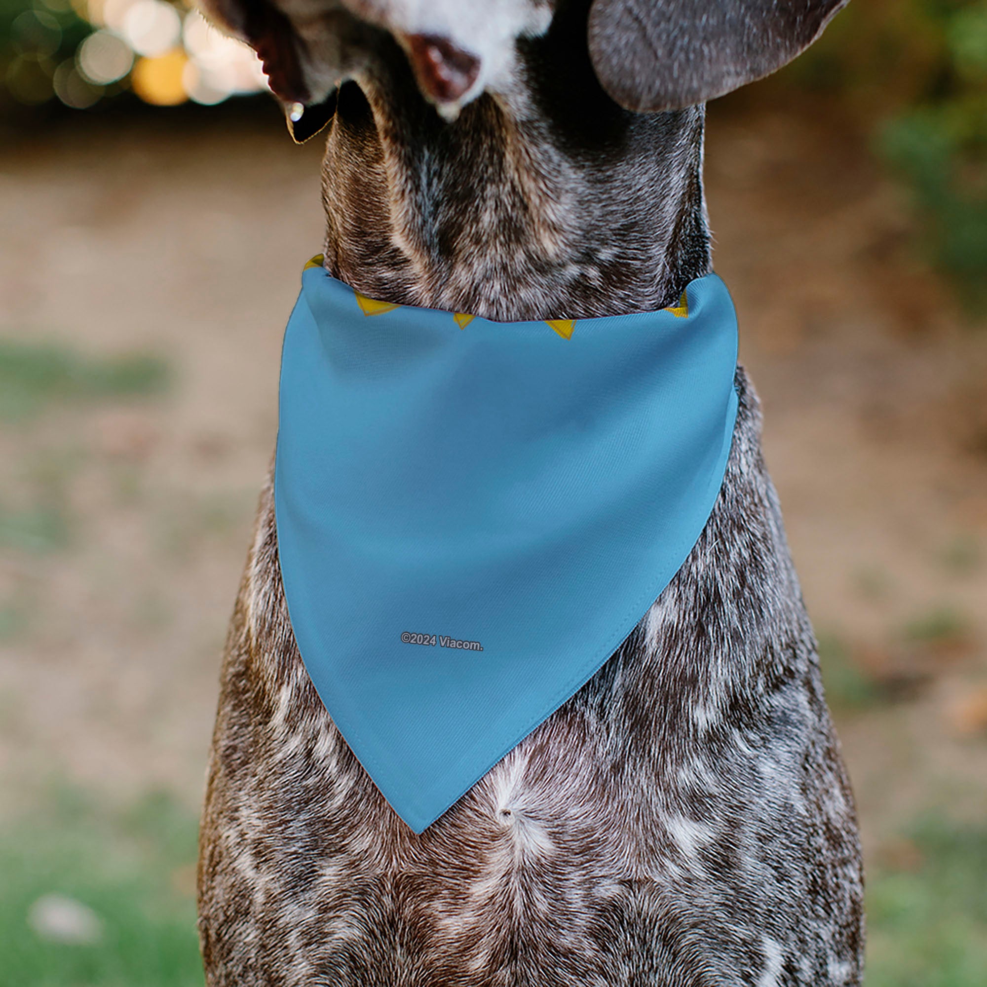 Pet Bandana - RUGRATS Four Character Group Pose and Title Logo Light Blue Pet Bandanas Rugrats