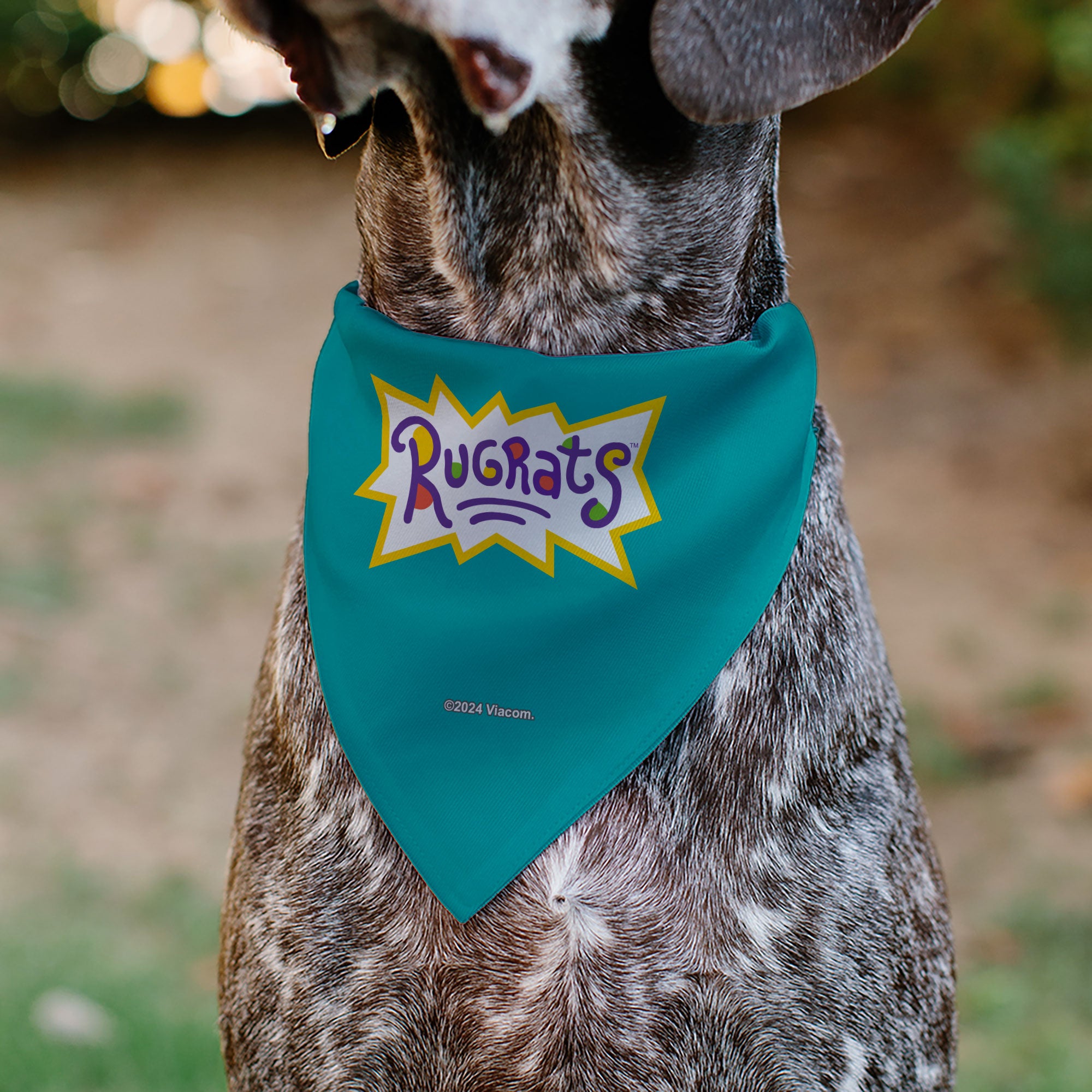 Pet Bandana - Rugrats Kids Group Pose and Title Logo Blue Pet Bandanas Rugrats