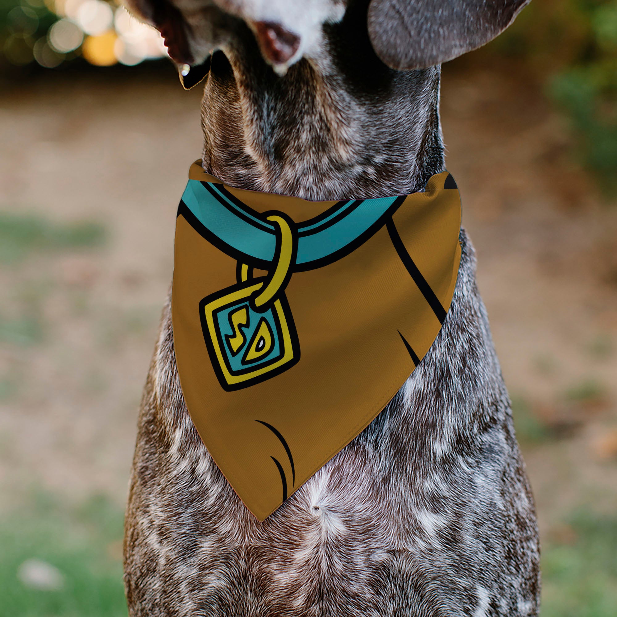 Pet Bandana - Scooby Doo Character Close-Up SD Dog Tag Brown Pet Bandanas Scooby Doo
