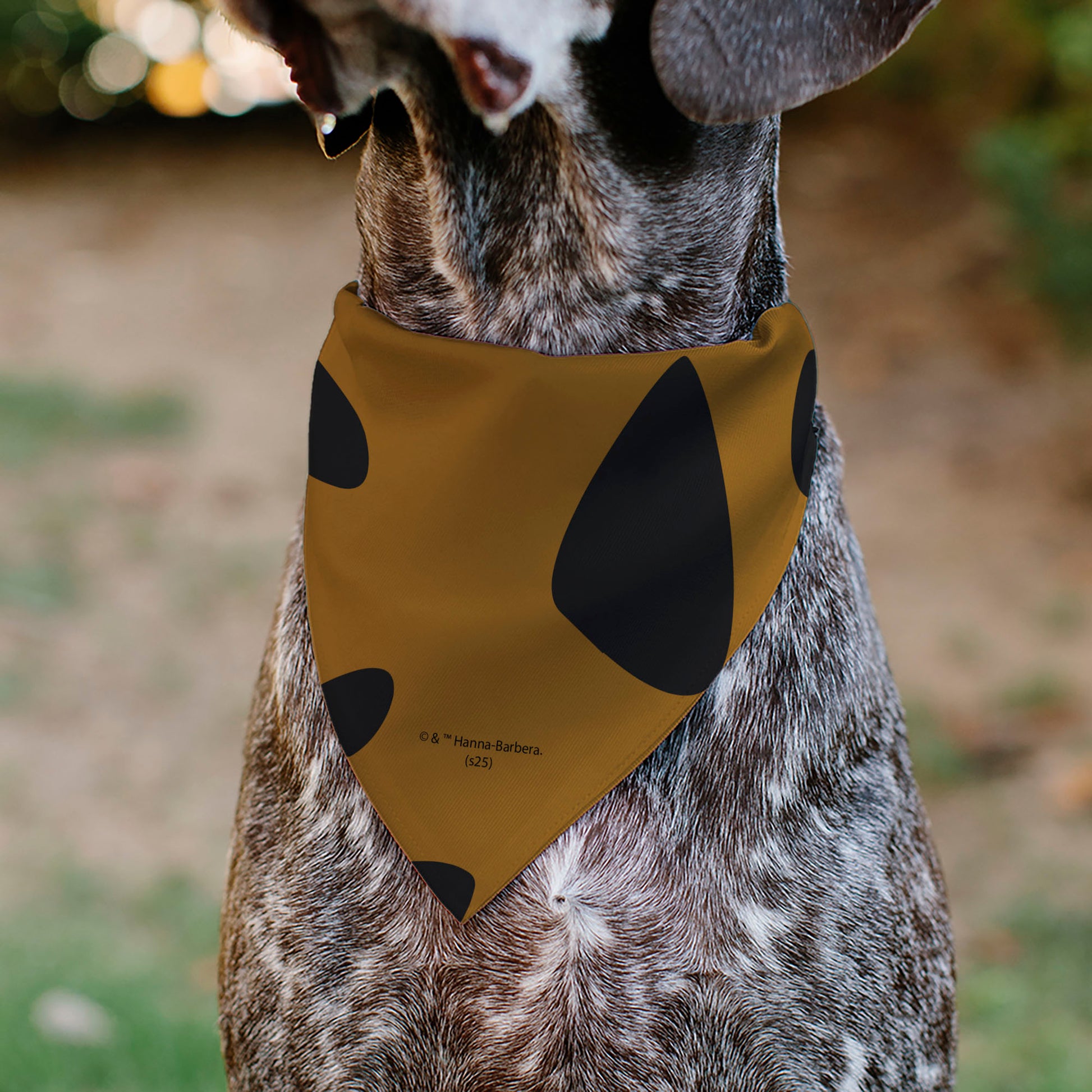 Pet Bandana - Scooby Doo Character Close-Up SD Dog Tag Brown Pet Bandanas Scooby Doo