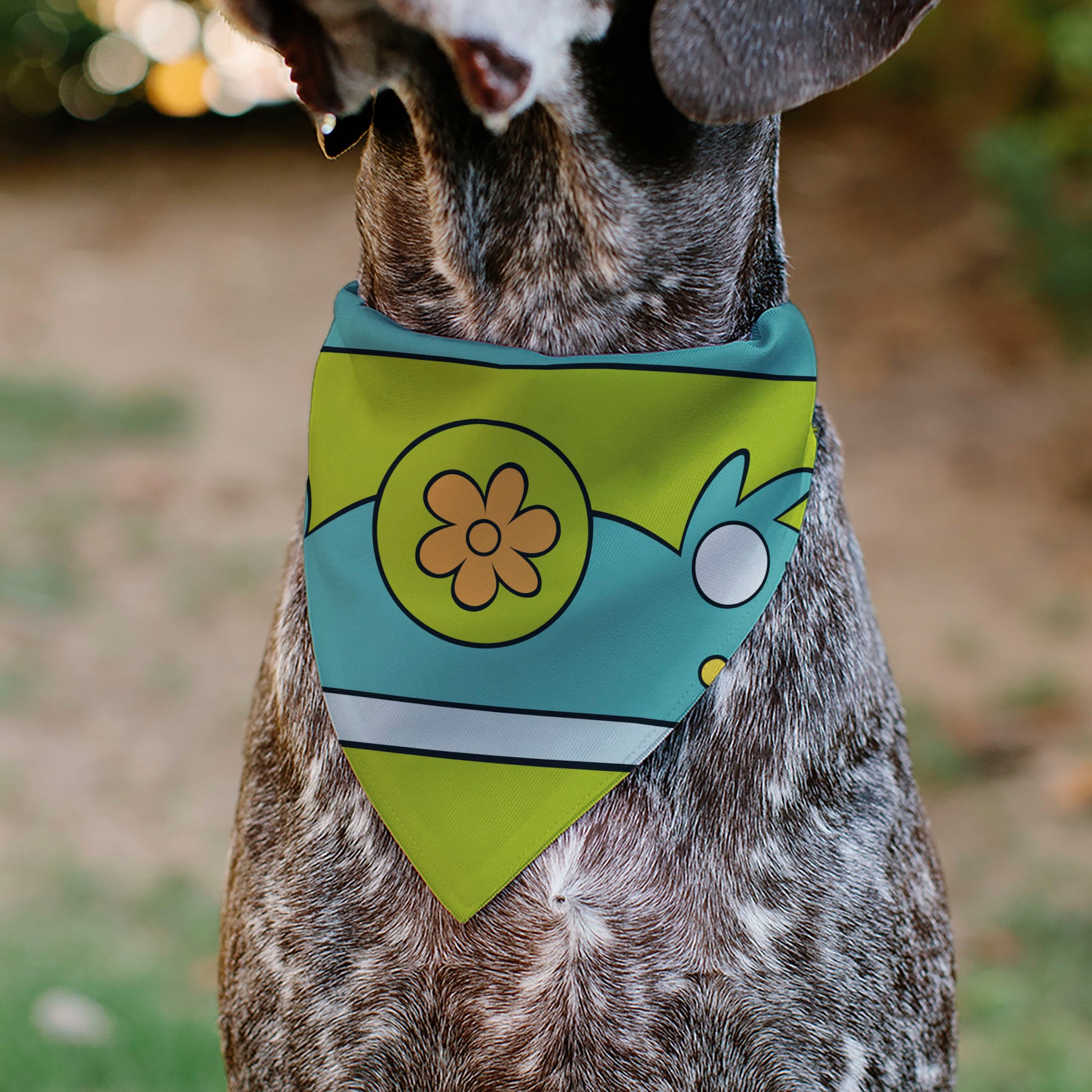 Pet Bandana - Scooby Doo THE MYSTERY MACHINE Logo Blues/Yellow/Orange Pet Bandanas Scooby Doo