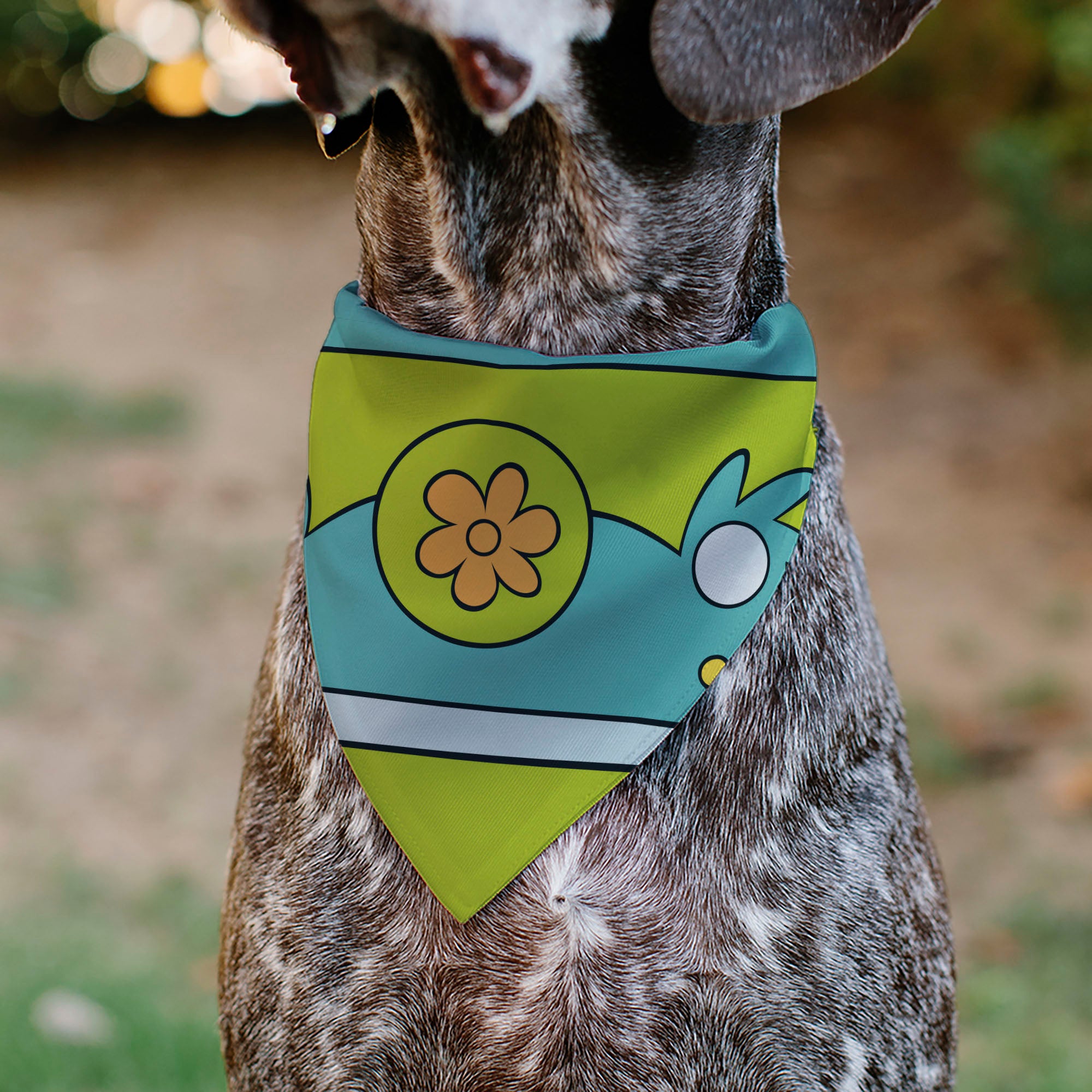 Pet Bandana - Scooby Doo THE MYSTERY MACHINE Logo Blues/Yellow/Orange Pet Bandanas Scooby Doo