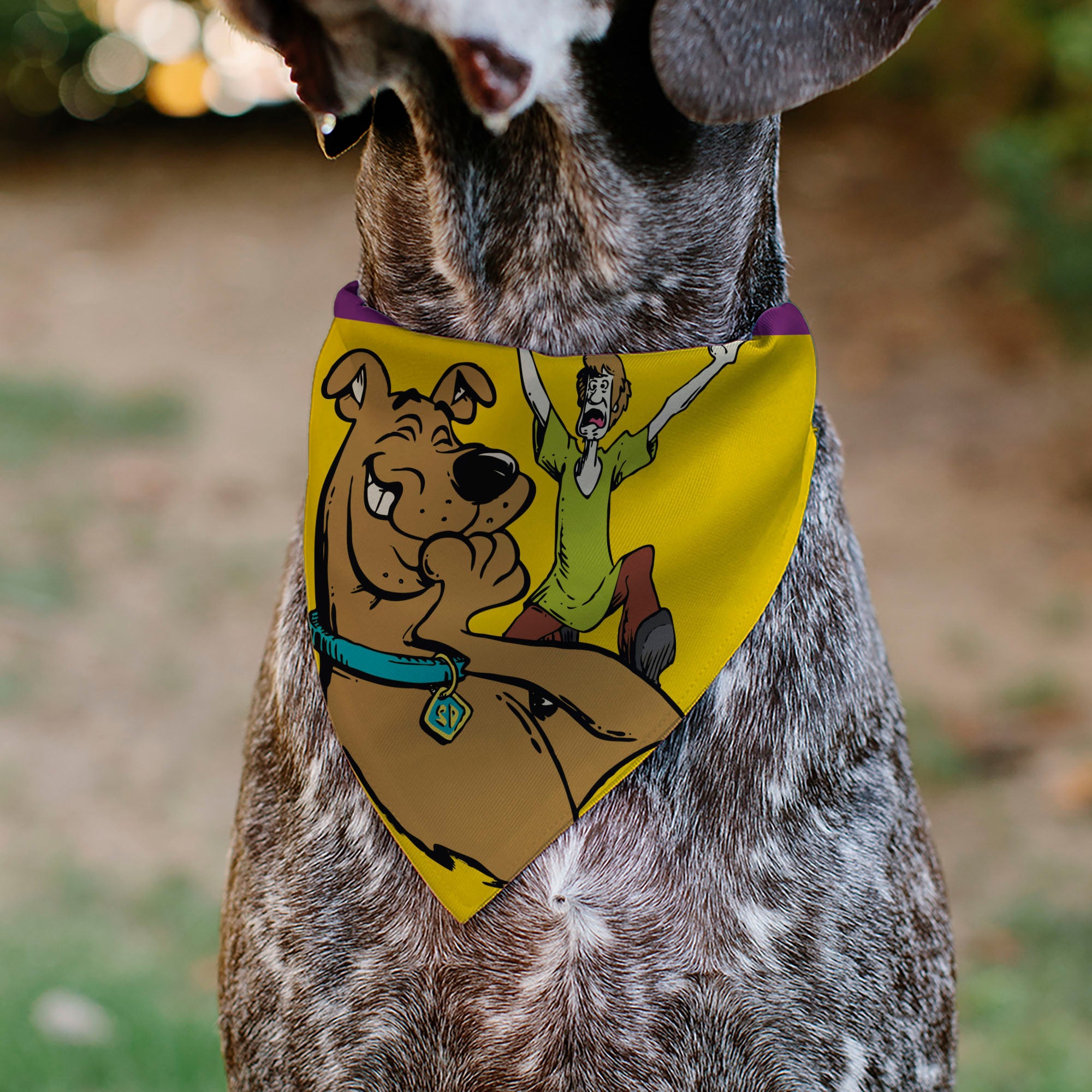 Pet Bandana - Scooby-Doo Laughing and Shaggy Screaming Pose Yellow