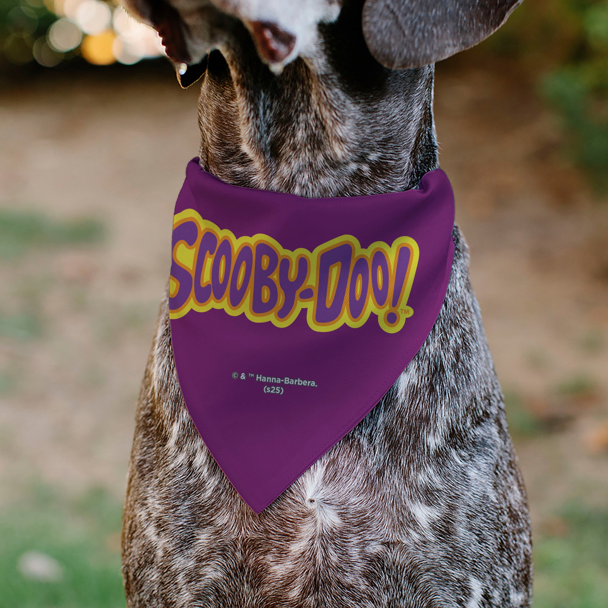 Pet Bandana - Scooby-Doo Laughing and Shaggy Screaming Pose Yellow