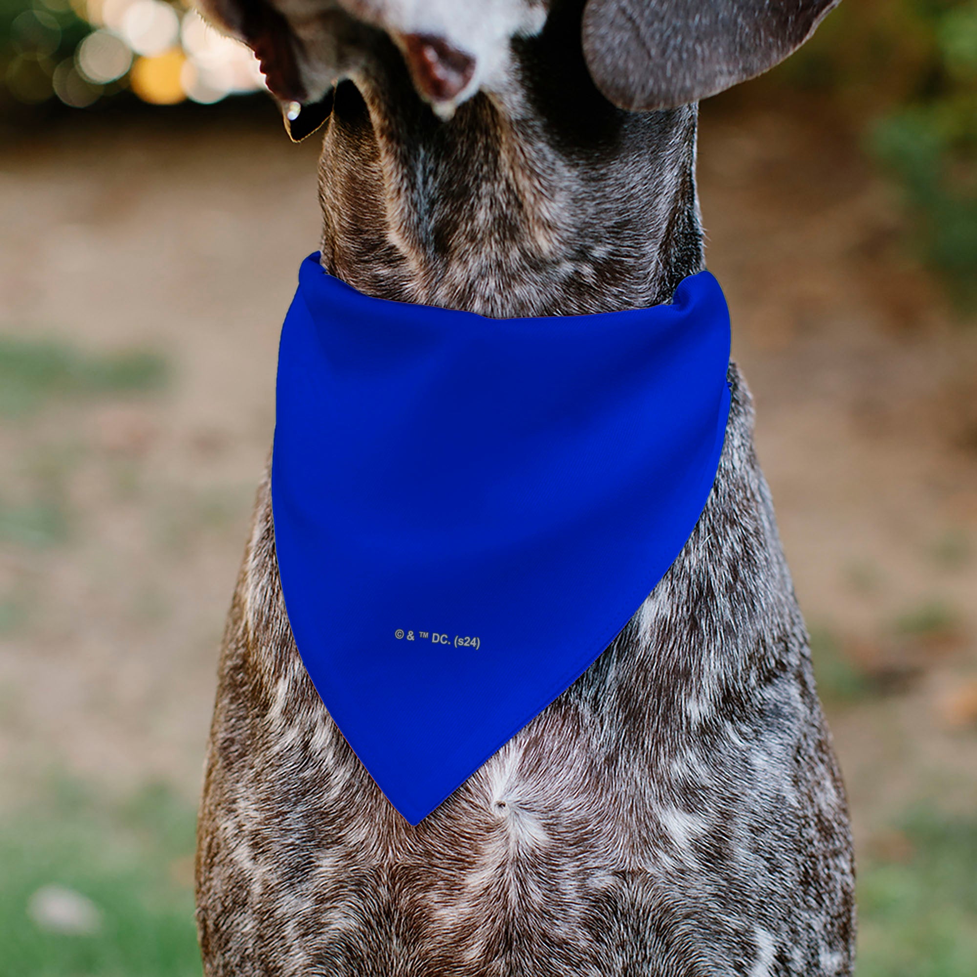Pet Bandana - Superman Shield Logo Blue/Red/Yellow Pet Bandanas DC Comics