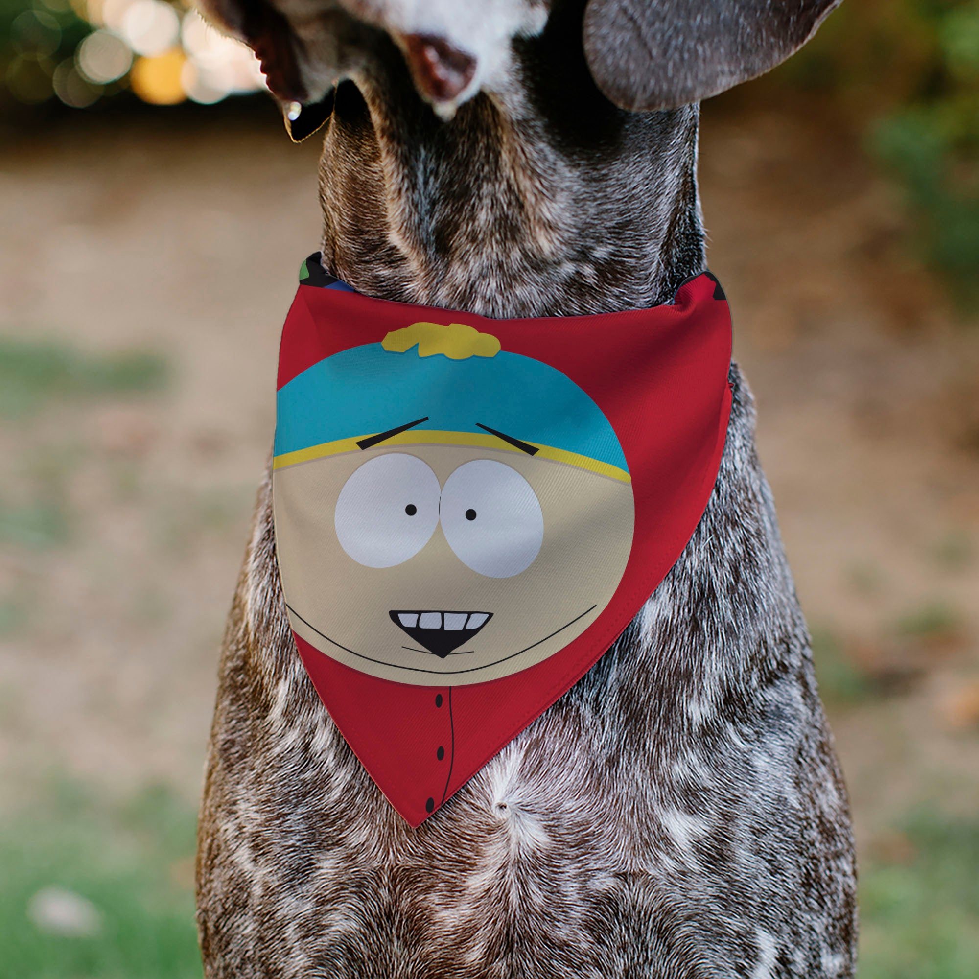 Pet Bandana - South Park Eric Cartman Face Close-Up Red Pet Bandanas South Park