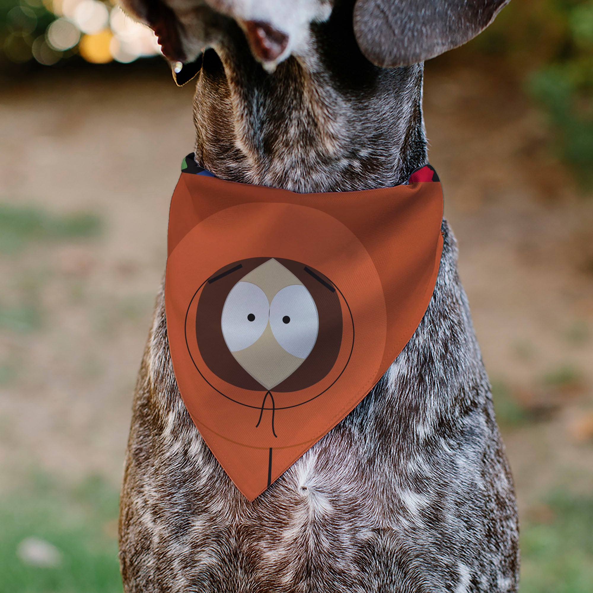 Pet Bandana - South Park Kenny McCormick Face Close-Up Orange Pet Bandanas South Park