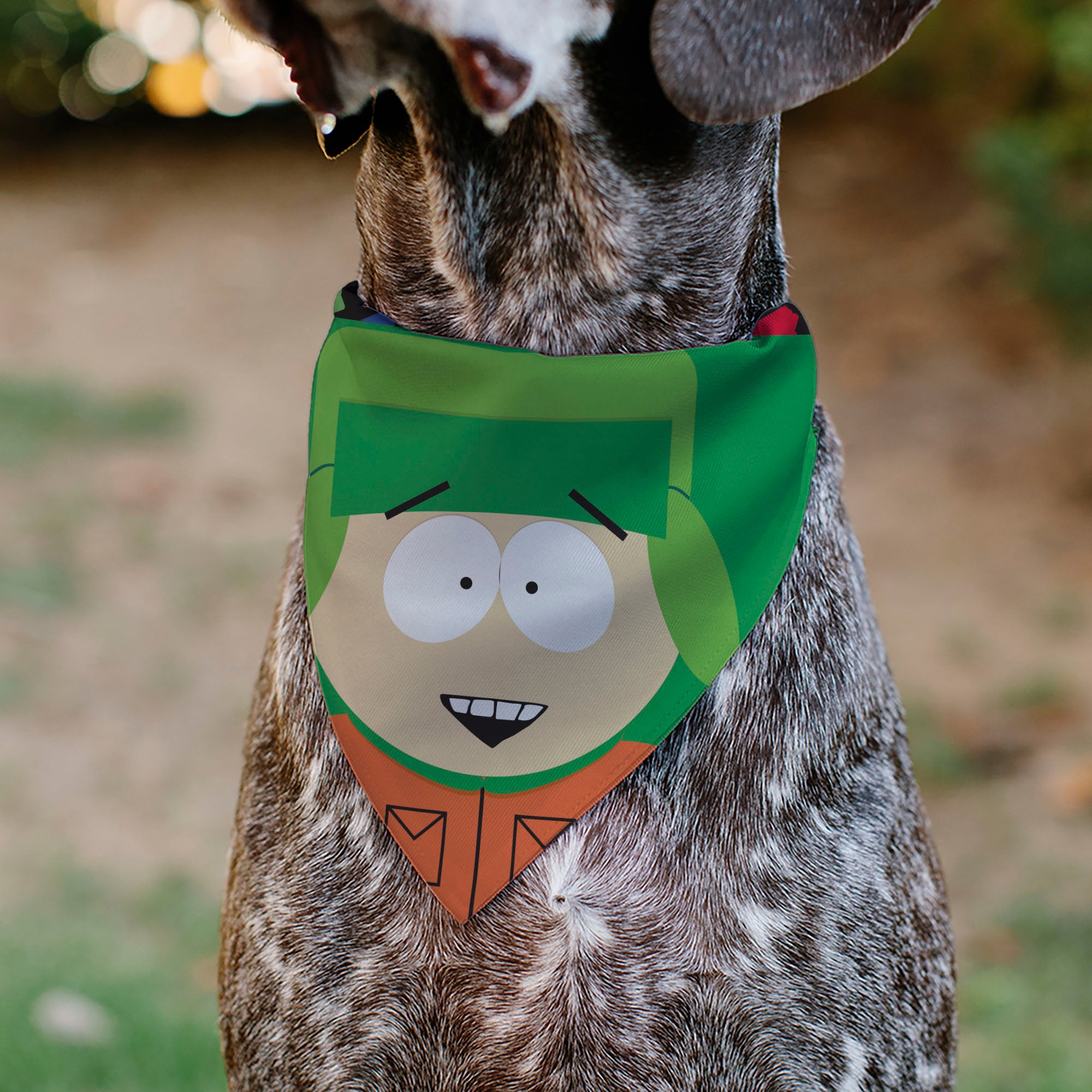 Pet Bandana - South Park Kyle Face Close-Up Greens Pet Bandanas South Park