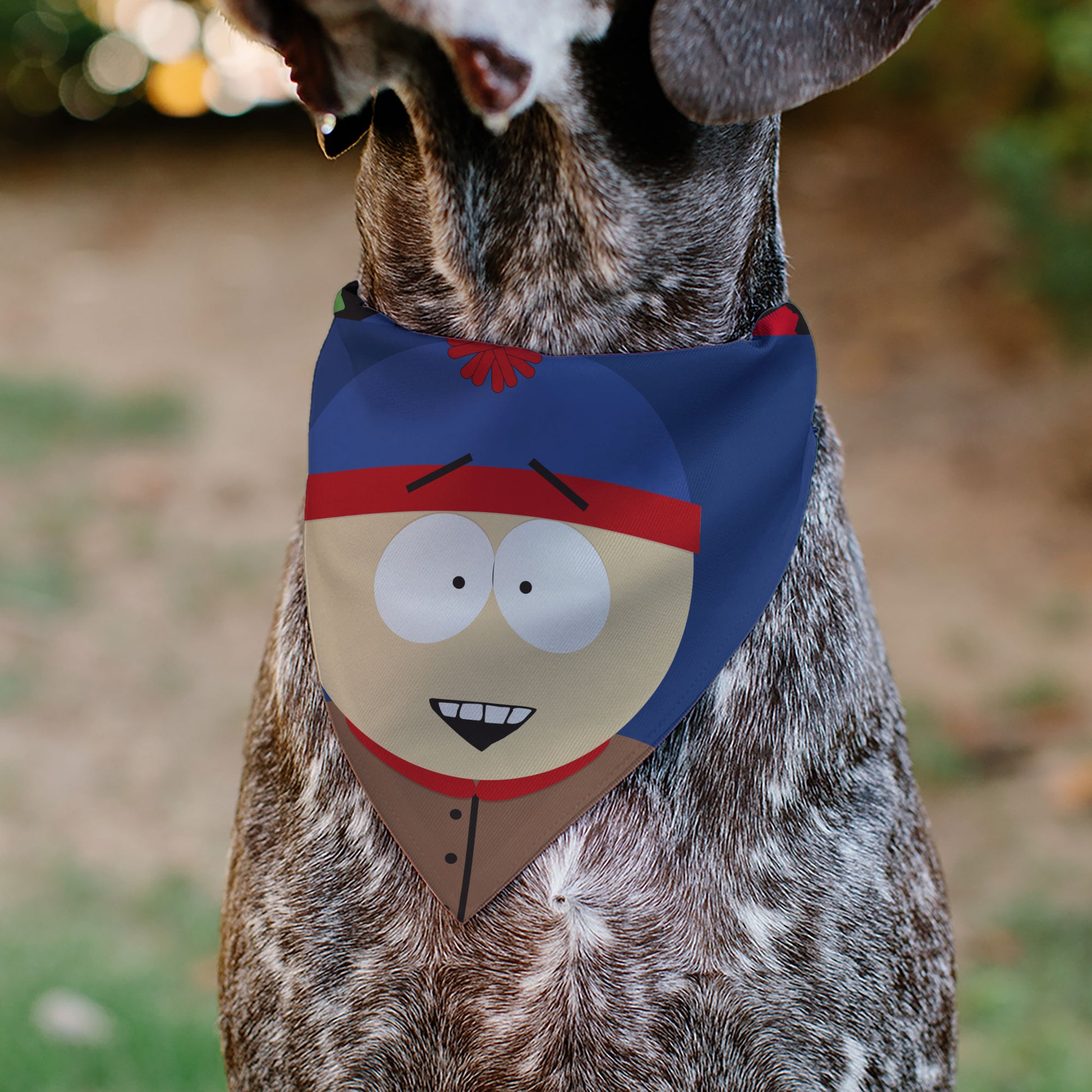Pet Bandana - South Park Stan Marsh Face Close-Up Blue Pet Bandanas South Park