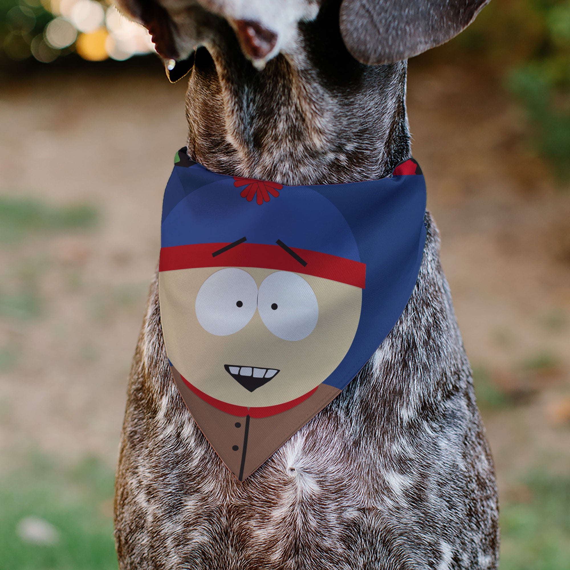 Pet Bandana - South Park Stan Marsh Face Close-Up Blue Pet Bandanas South Park