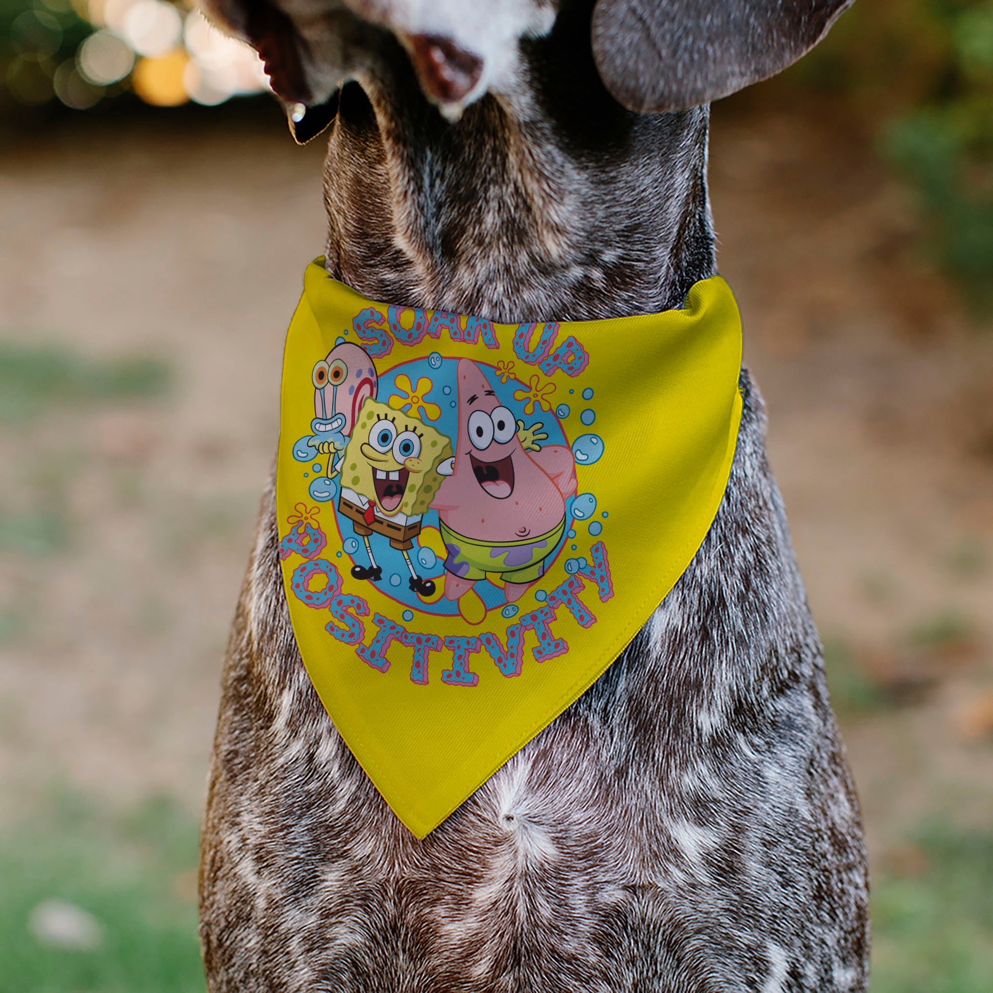 Pet Bandana - SpongeBob SquarePants and Friends SOAK UP POSITIVITY Pose Yellow Pet Bandanas SpongeBob SquarePants