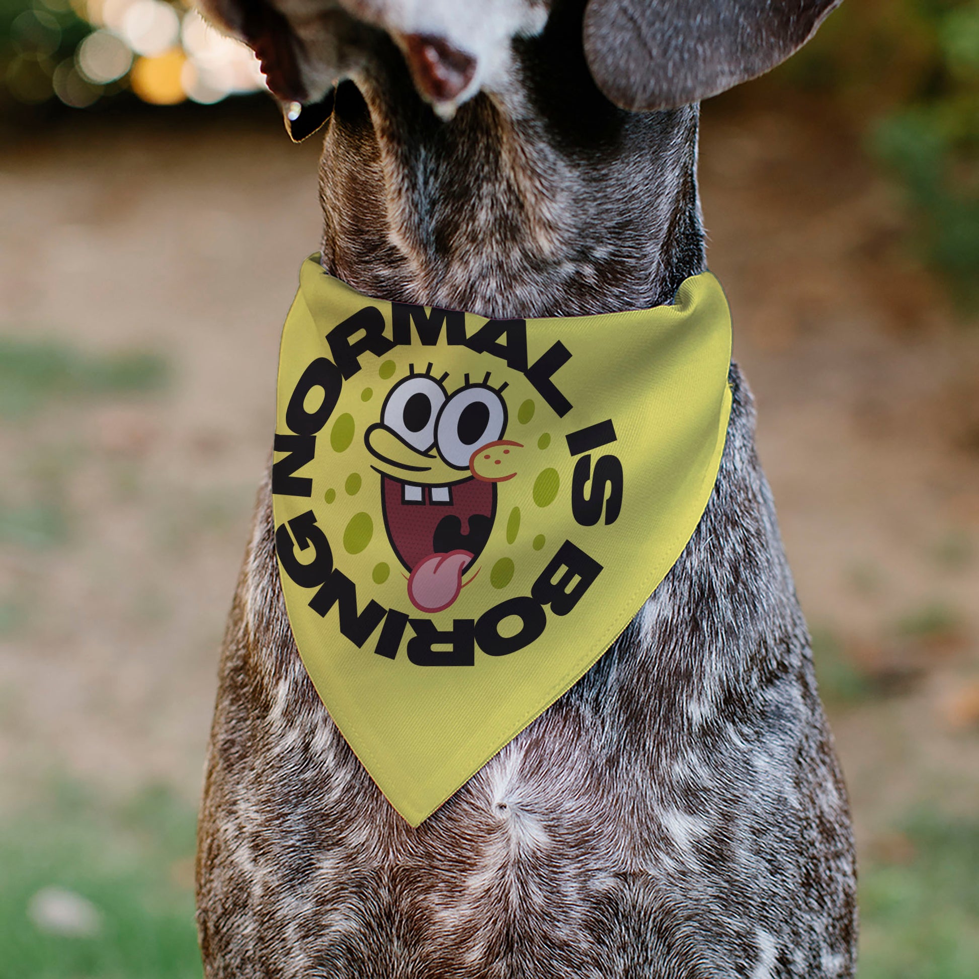 Pet Bandana - SpongeBob SquarePants NORMAL IS BORING Pose Yellows Pet Bandanas SpongeBob SquarePants