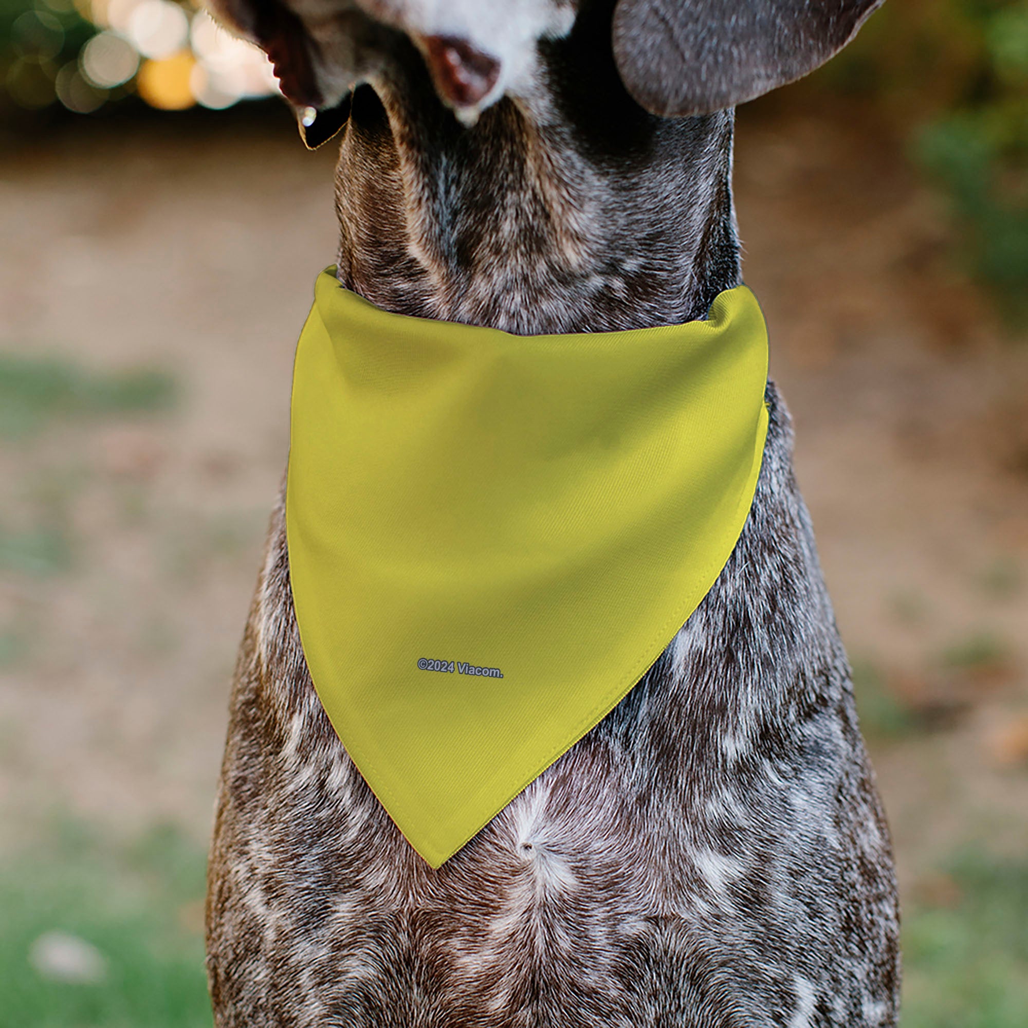 Pet Bandana - SpongeBob SquarePants SPSP $B Chain Pose Yellow Pet Bandanas SpongeBob SquarePants
