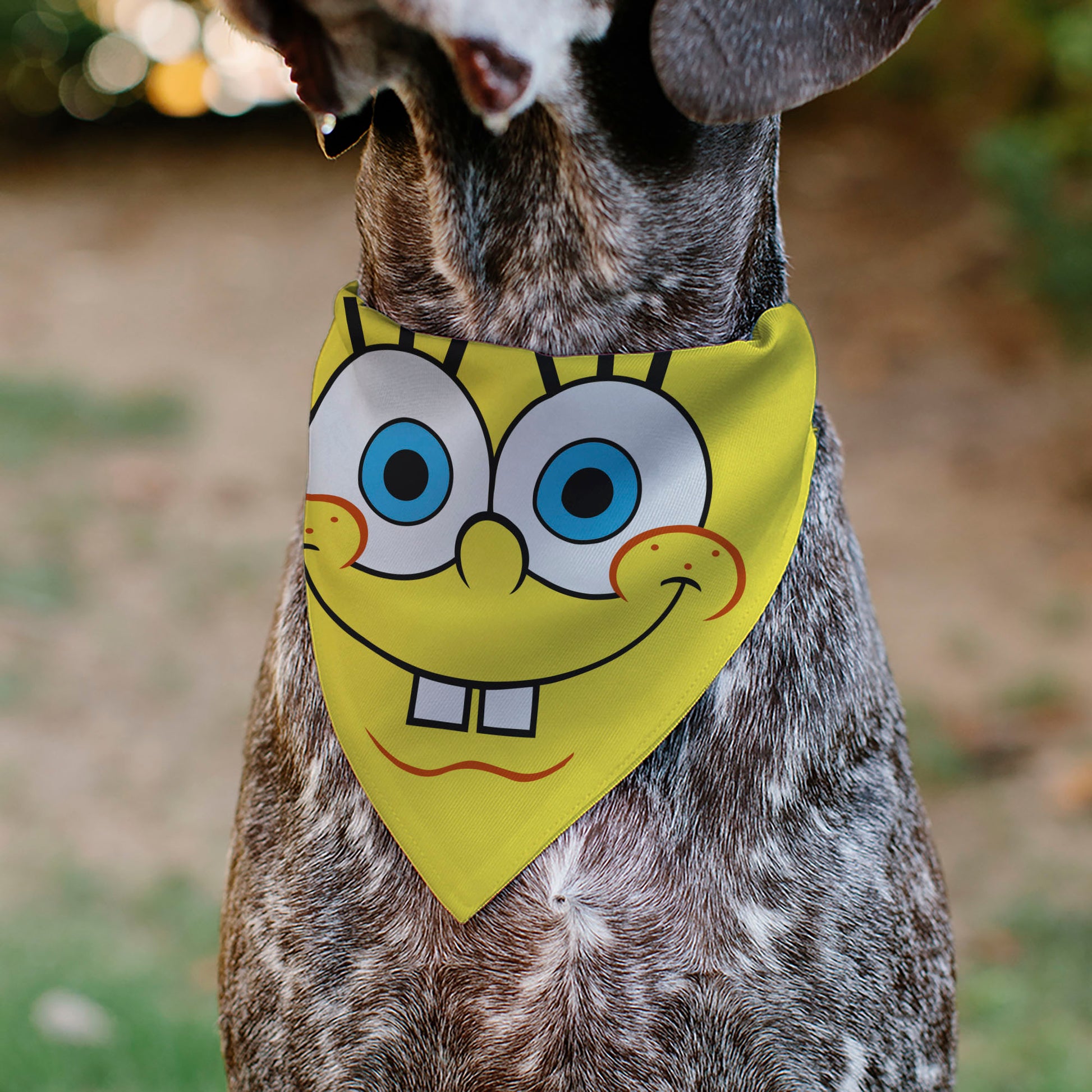 Pet Bandana - SpongeBob SquarePants Face Close-Up Yellow Pet Bandanas SpongeBob SquarePants