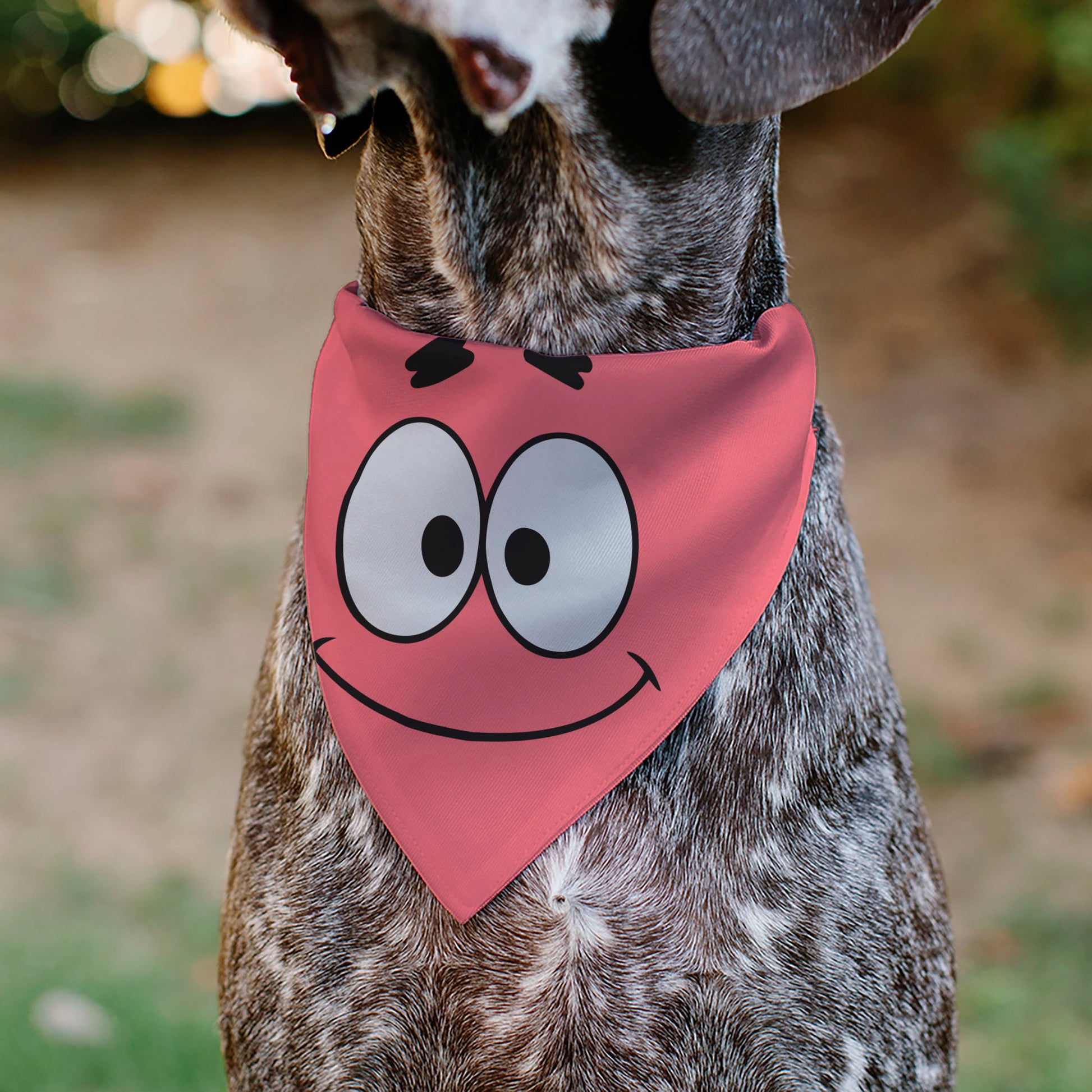 Pet Bandana - SpongeBob SquarePants Patrick Star Face Close-Up Pink Pet Bandanas SpongeBob SquarePants