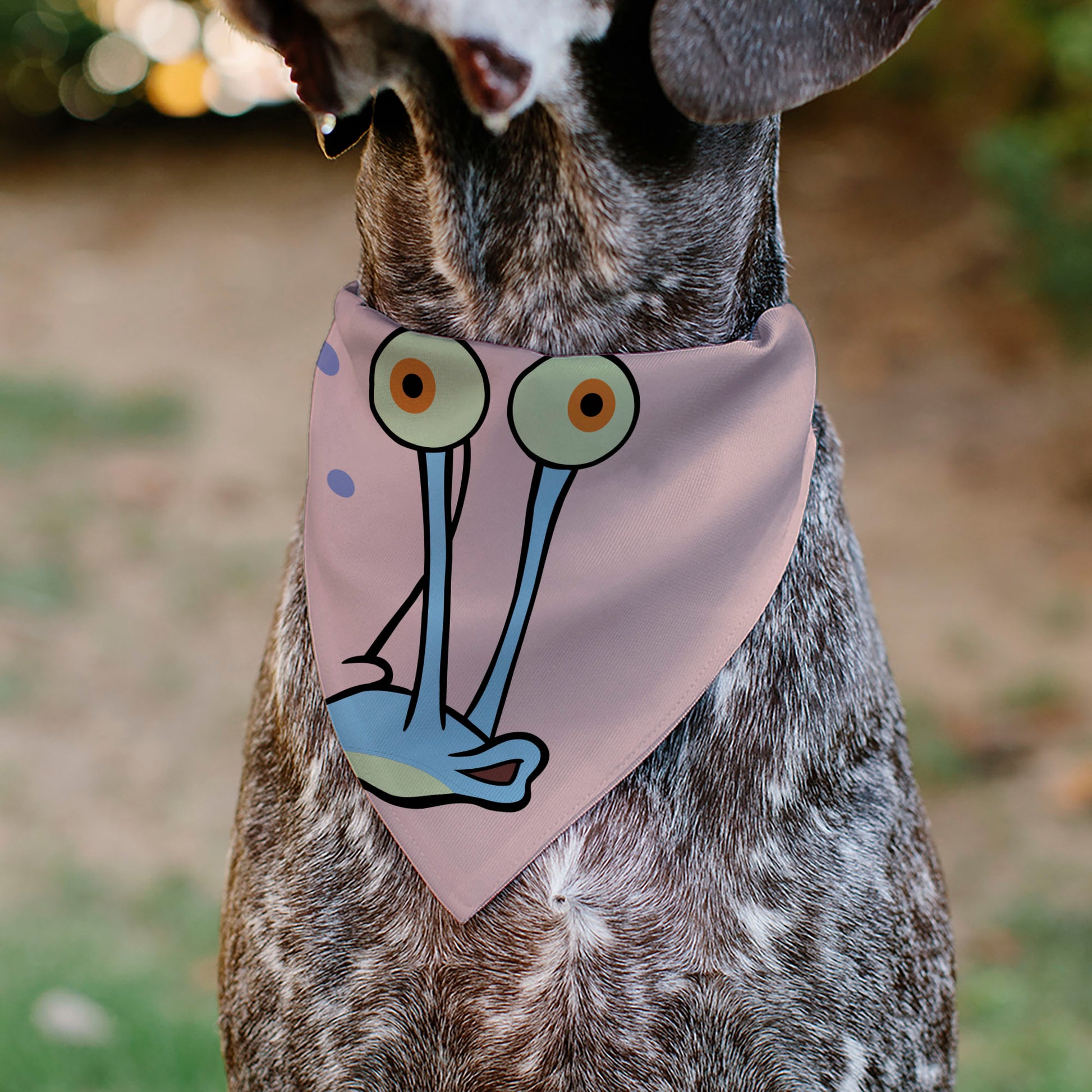 Pet Bandana - SpongeBob SquarePants Gary the Snail Face Close-Up Pink Pet Bandanas SpongeBob SquarePants