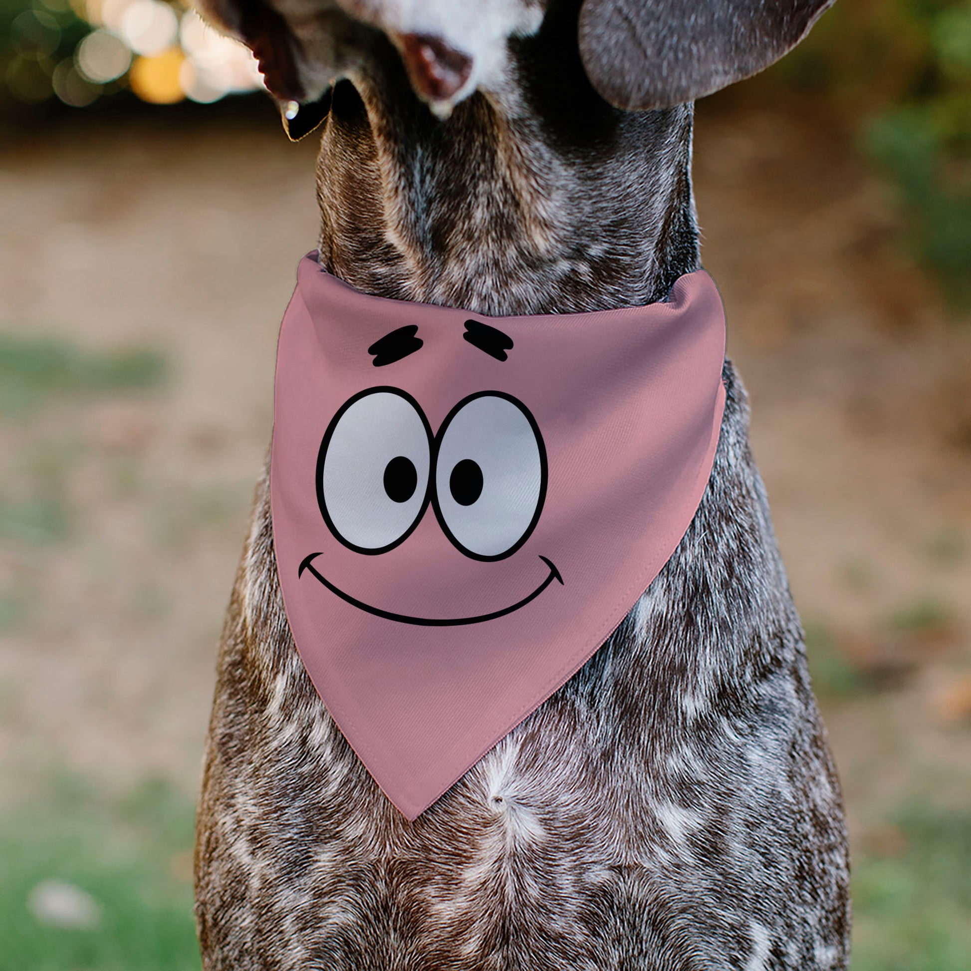 Pet Bandana - SpongeBob SquarePants Patrick Star Character Close-Up Pink Pet Bandanas SpongeBob SquarePants