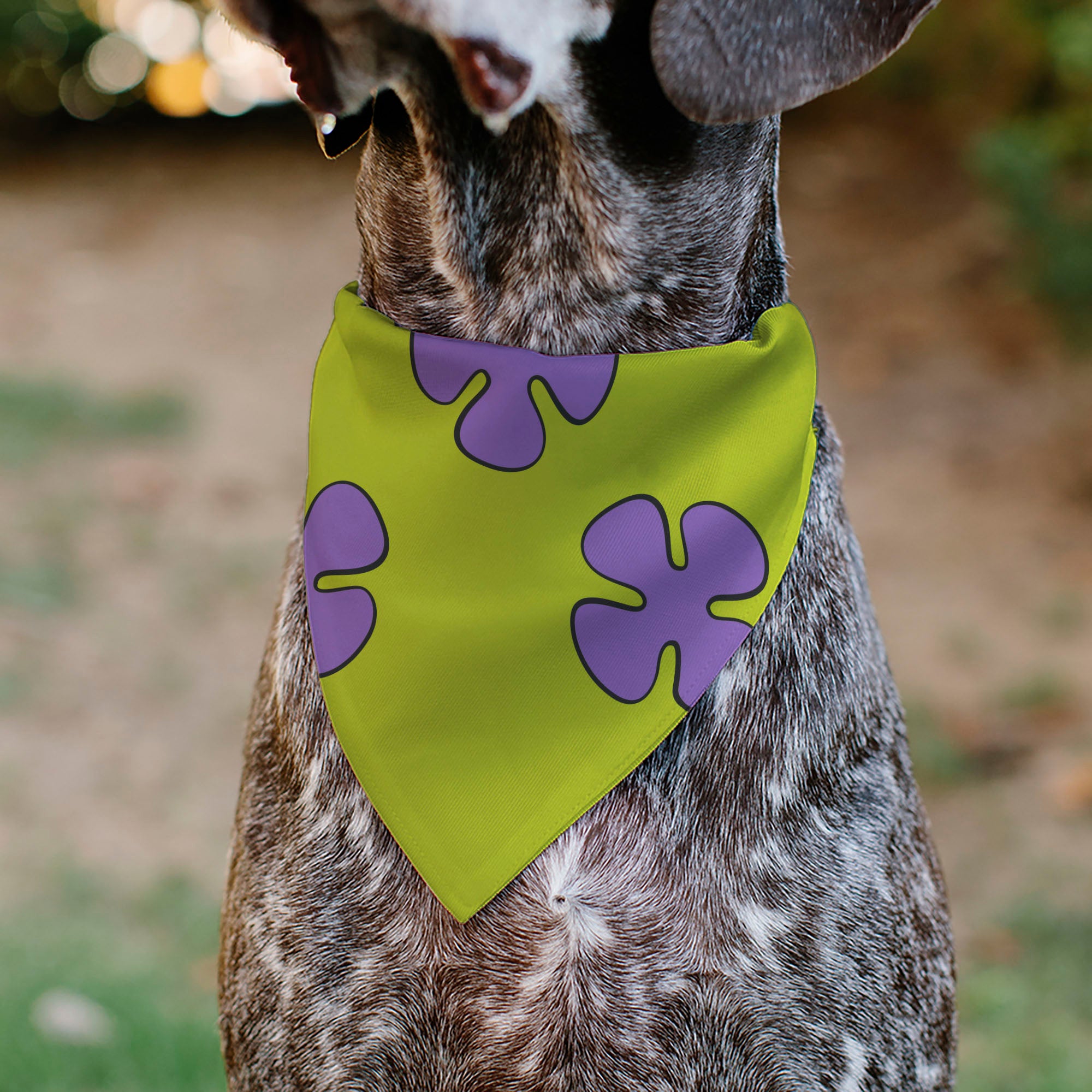 Pet Bandana - Patrick Star Shorts Flower Icon Green/Lavender Pet Bandanas SpongeBob SquarePants