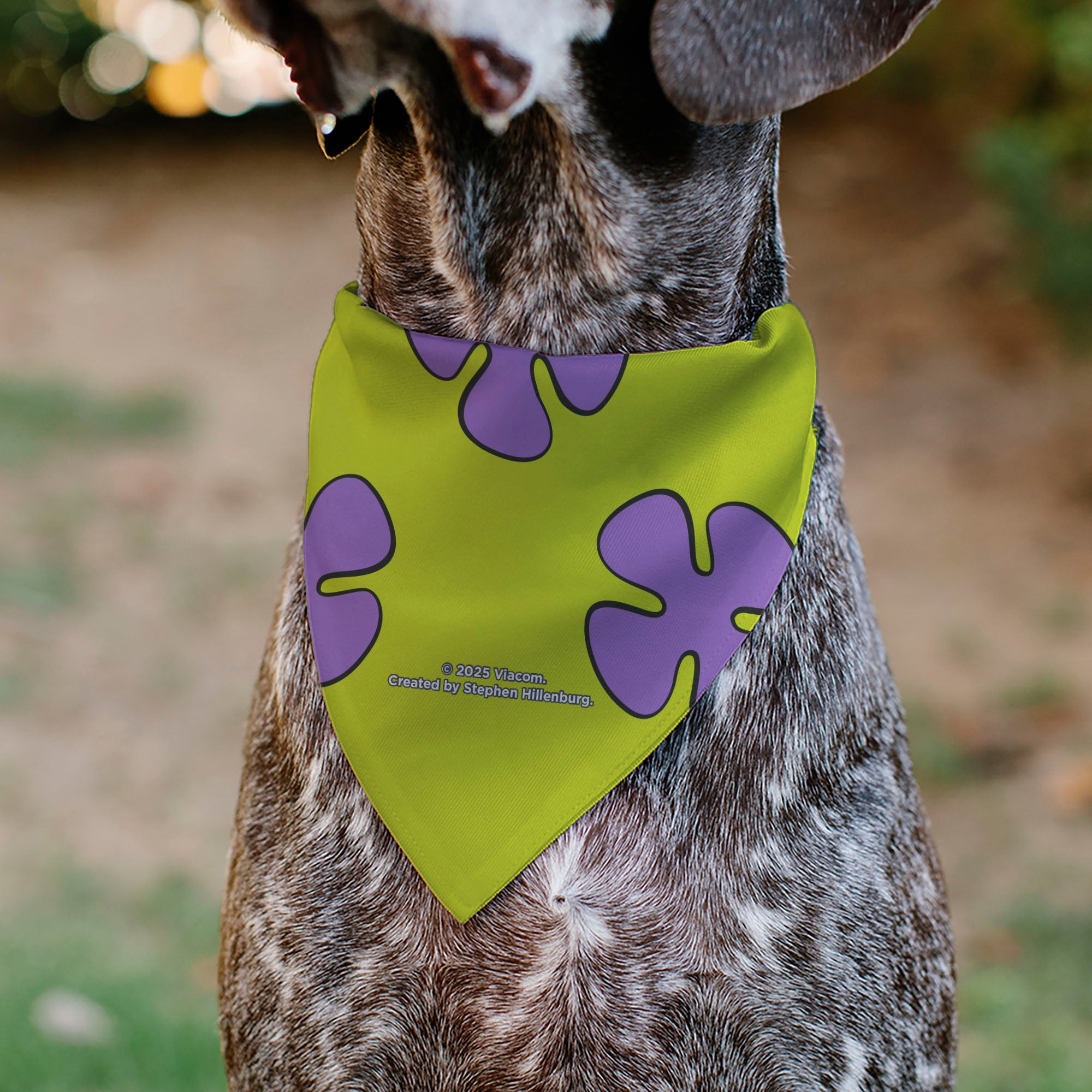 Pet Bandana - Patrick Star Shorts Flower Icon Green/Lavender Pet Bandanas SpongeBob SquarePants