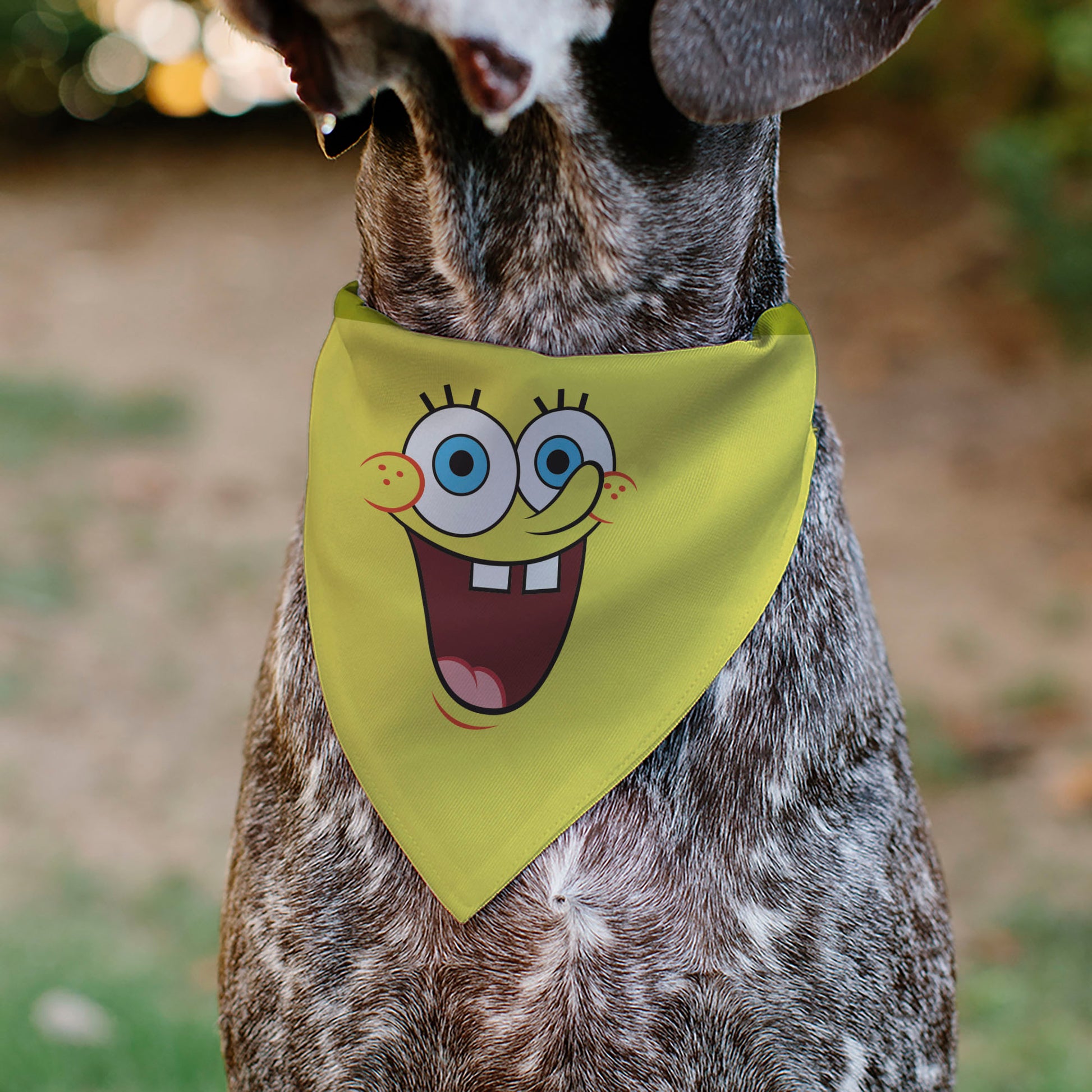 Pet Bandana - SpongeBob SquarePants Excited Smile Expression Yellow Pet Bandanas SpongeBob SquarePants