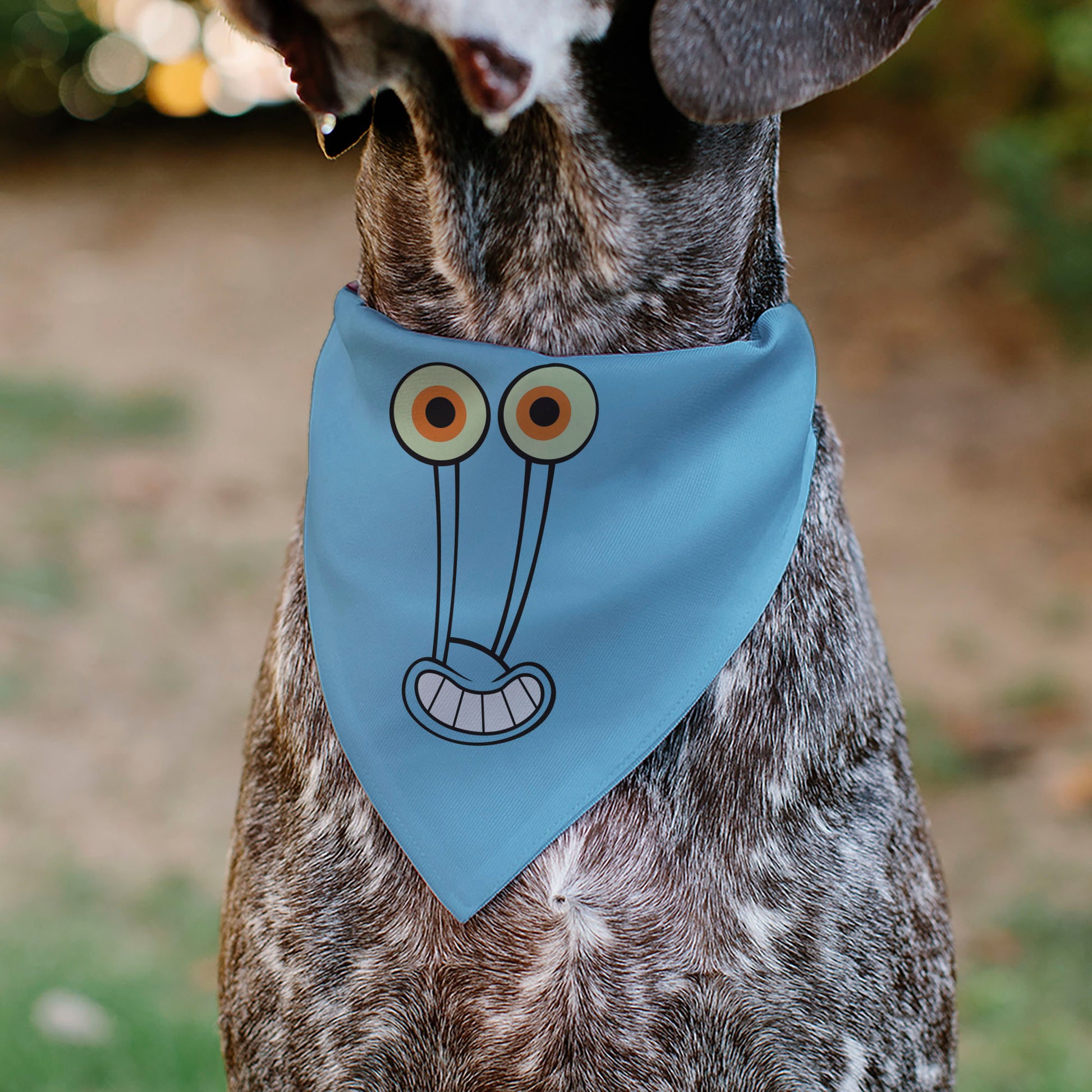 Pet Bandana - GARY the Snail Smiling Face Close-Up and Text Blue/Pinks Pet Bandanas SpongeBob SquarePants
