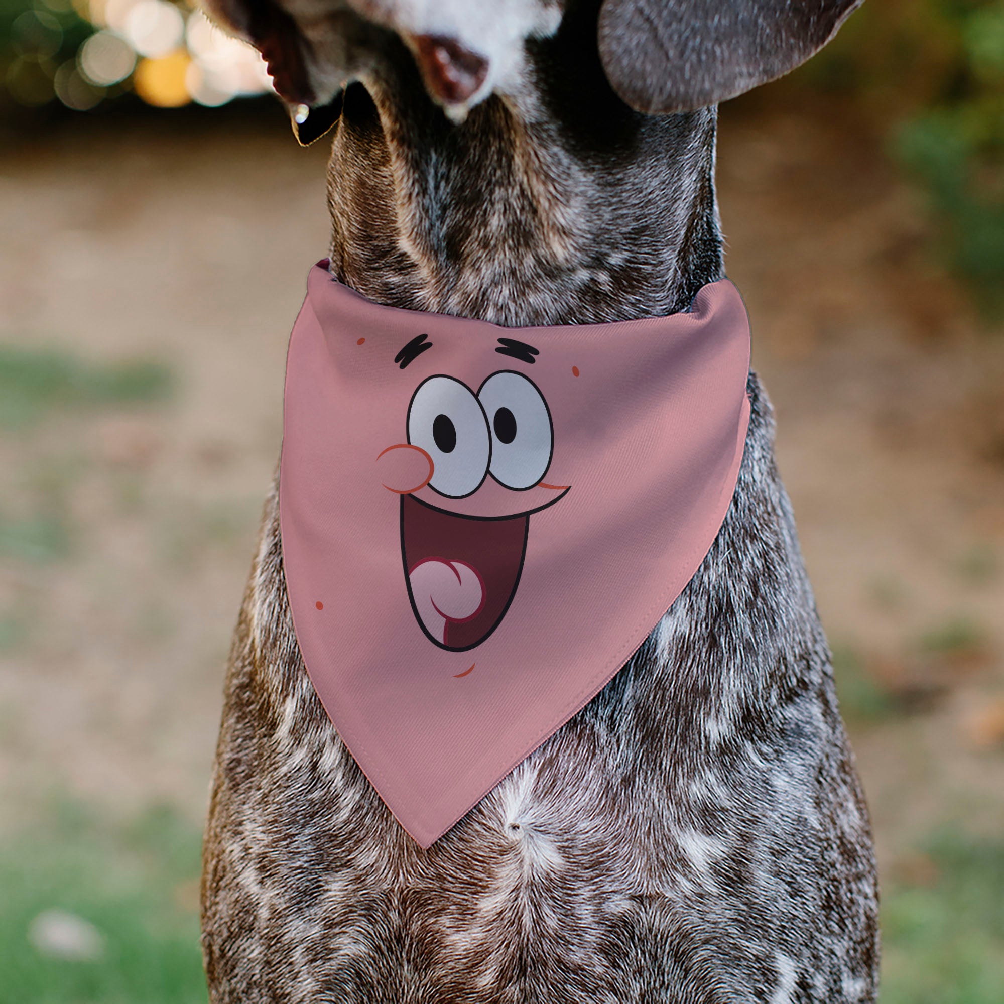 Pet Bandana - PATRICK Star Smiling Face Close-Up and Text Pinks/Reds Pet Bandanas SpongeBob SquarePants