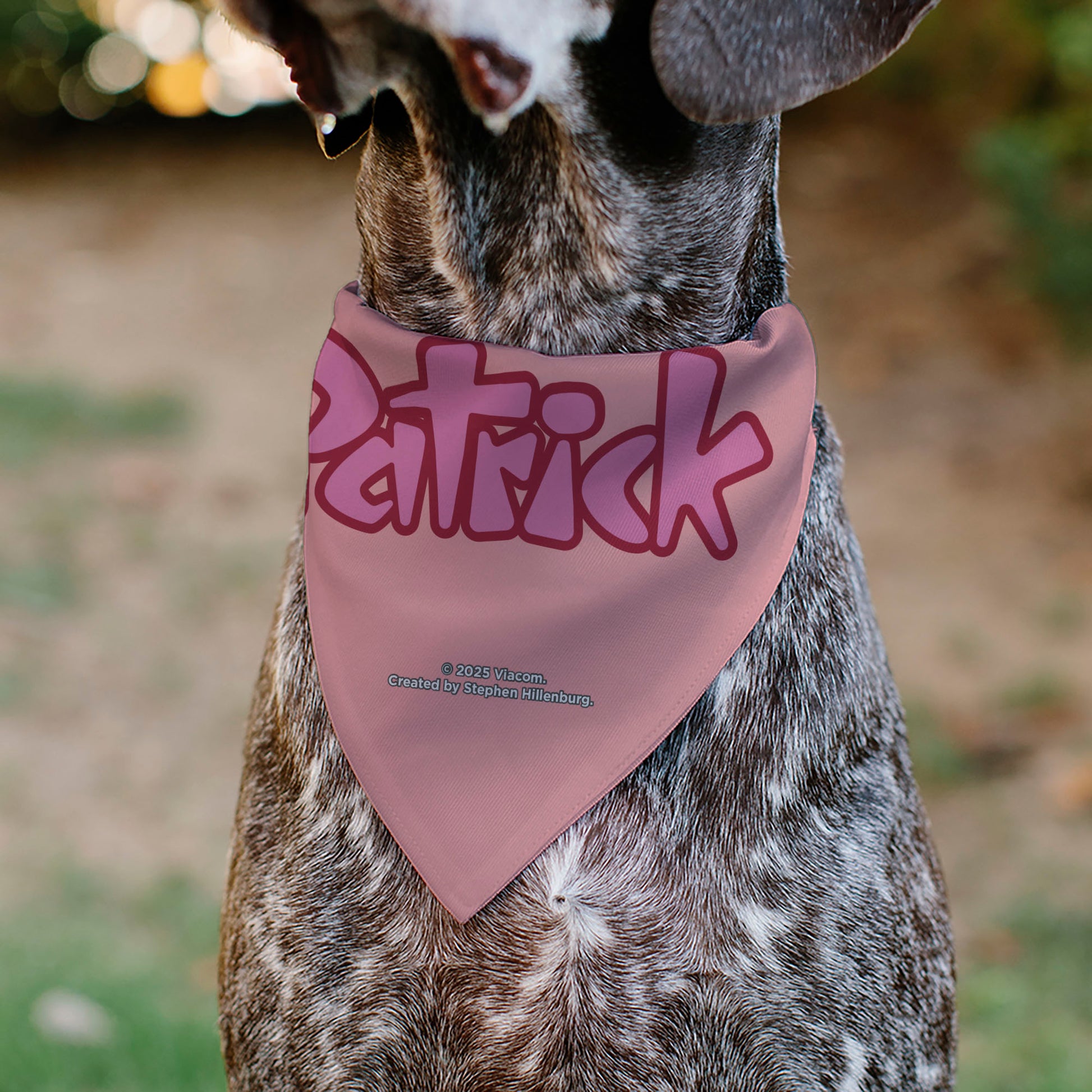 Pet Bandana - PATRICK Star Smiling Face Close-Up and Text Pinks/Reds Pet Bandanas SpongeBob SquarePants