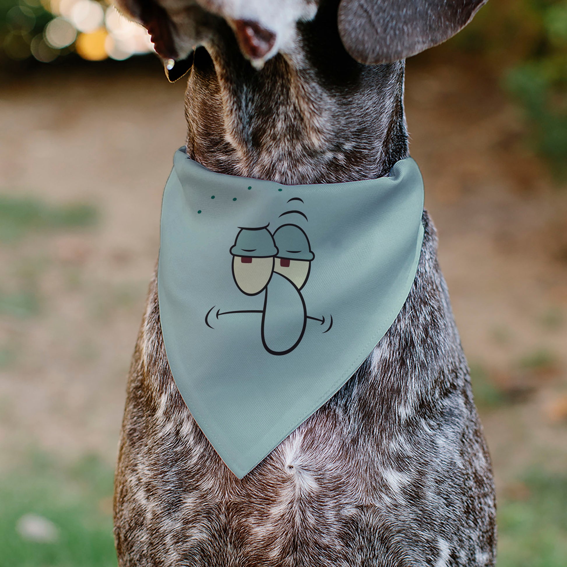 Pet Bandana - SQUIDWARD Frowning Face Close-Up and Text Blues Pet Bandanas SpongeBob SquarePants
