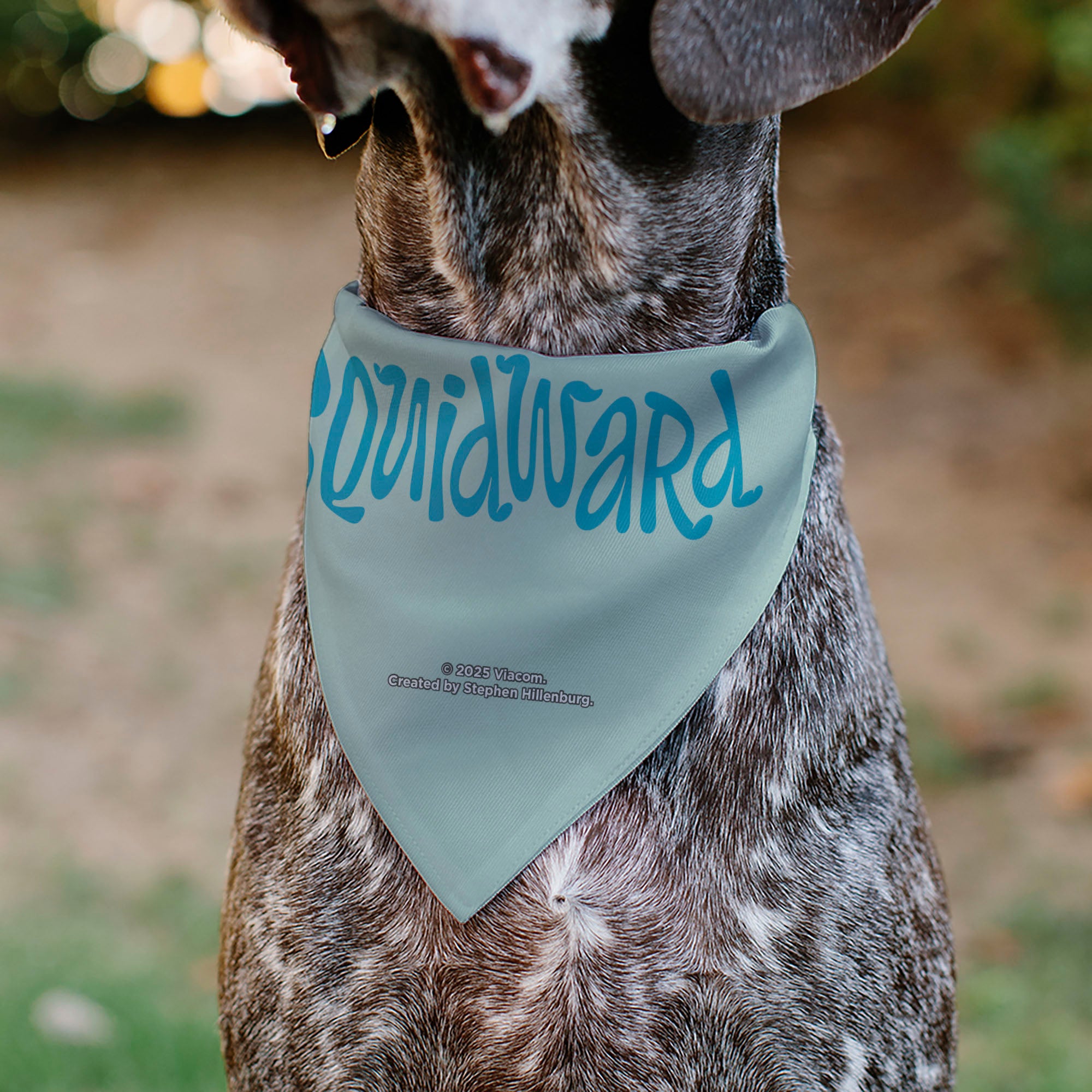 Pet Bandana - SQUIDWARD Frowning Face Close-Up and Text Blues Pet Bandanas SpongeBob SquarePants