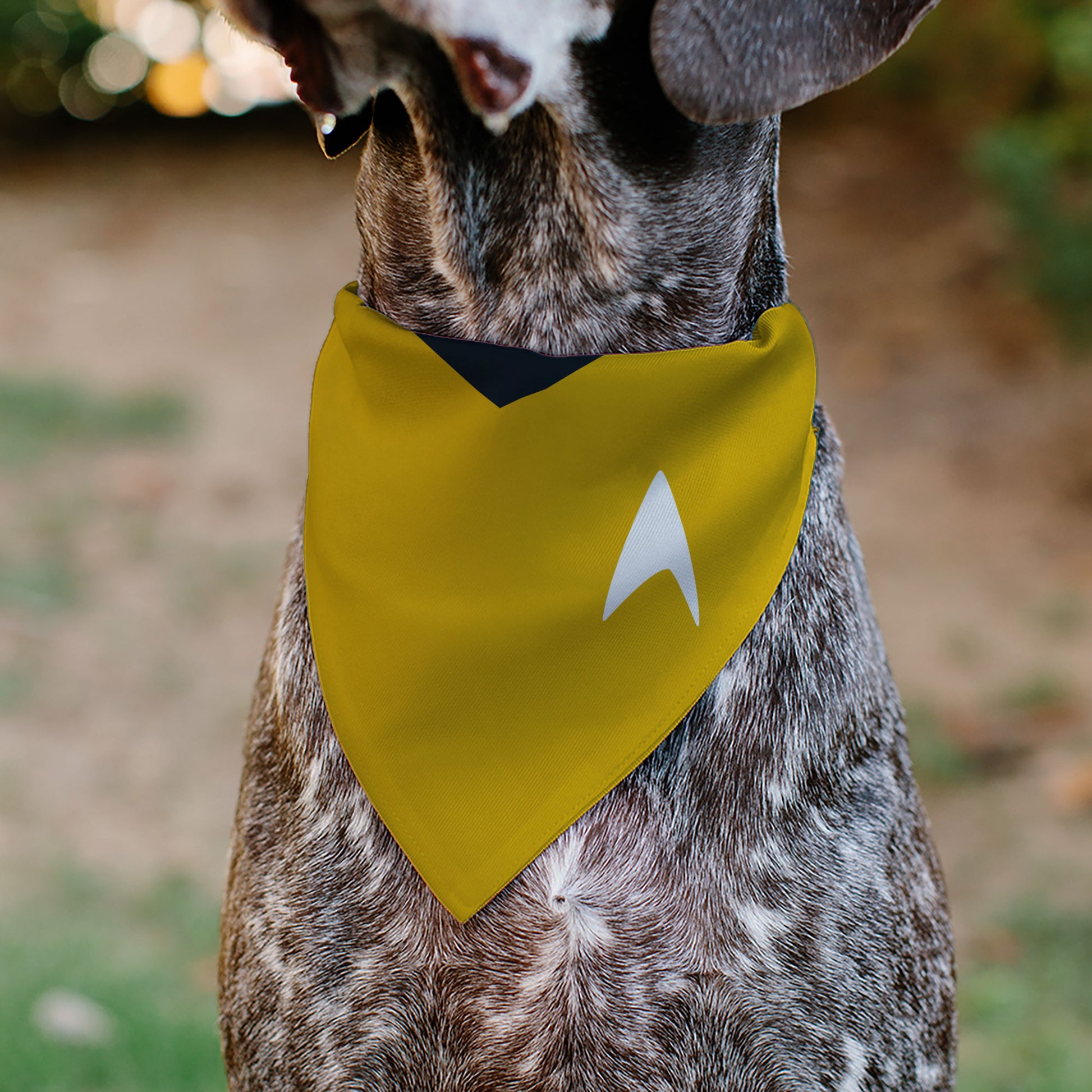 Pet Bandana - Star Trek Original Series Golden Yellow Uniform Print Pet Bandanas Star Trek