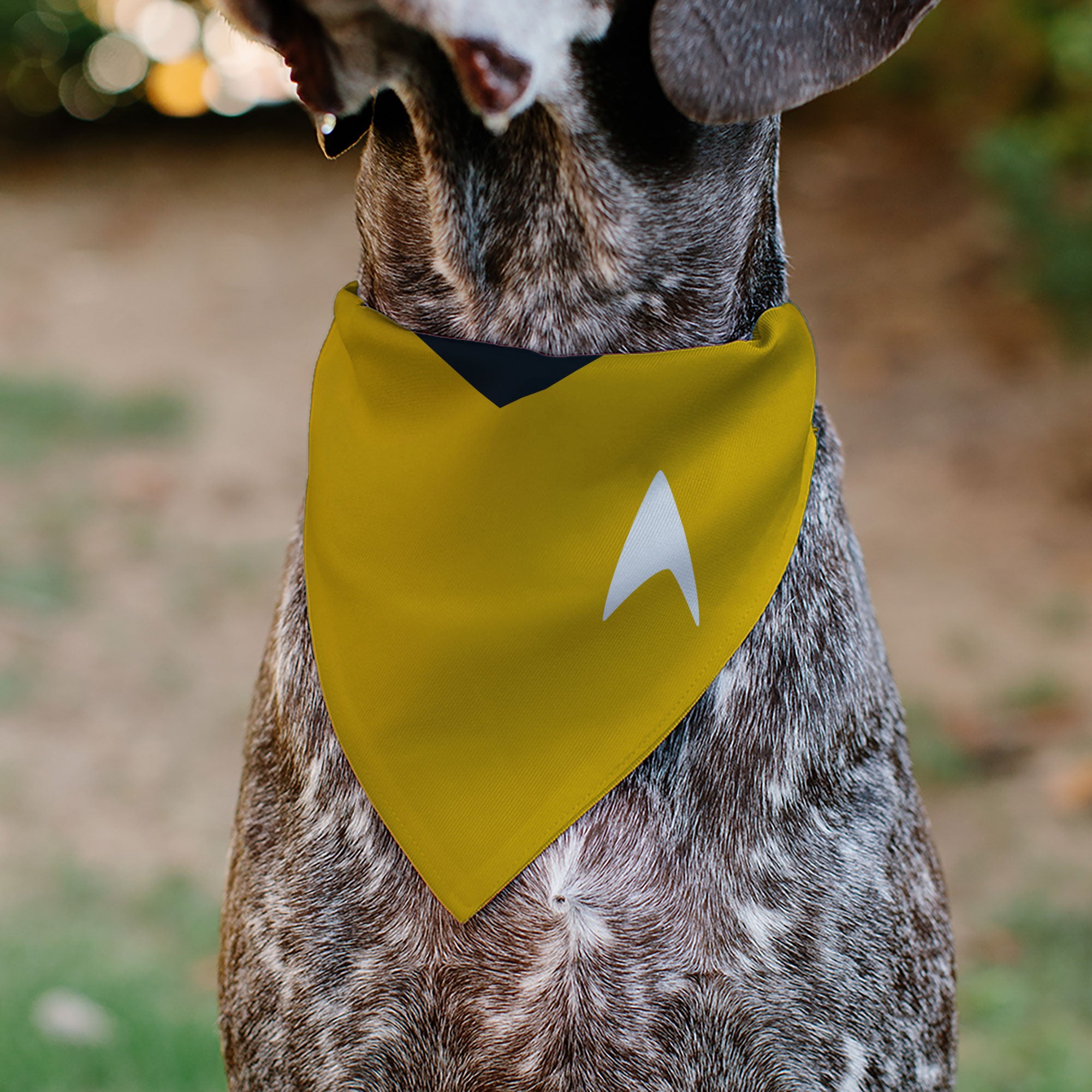 Pet Bandana - Star Trek Original Series Golden Yellow Uniform Print Pet Bandanas Star Trek